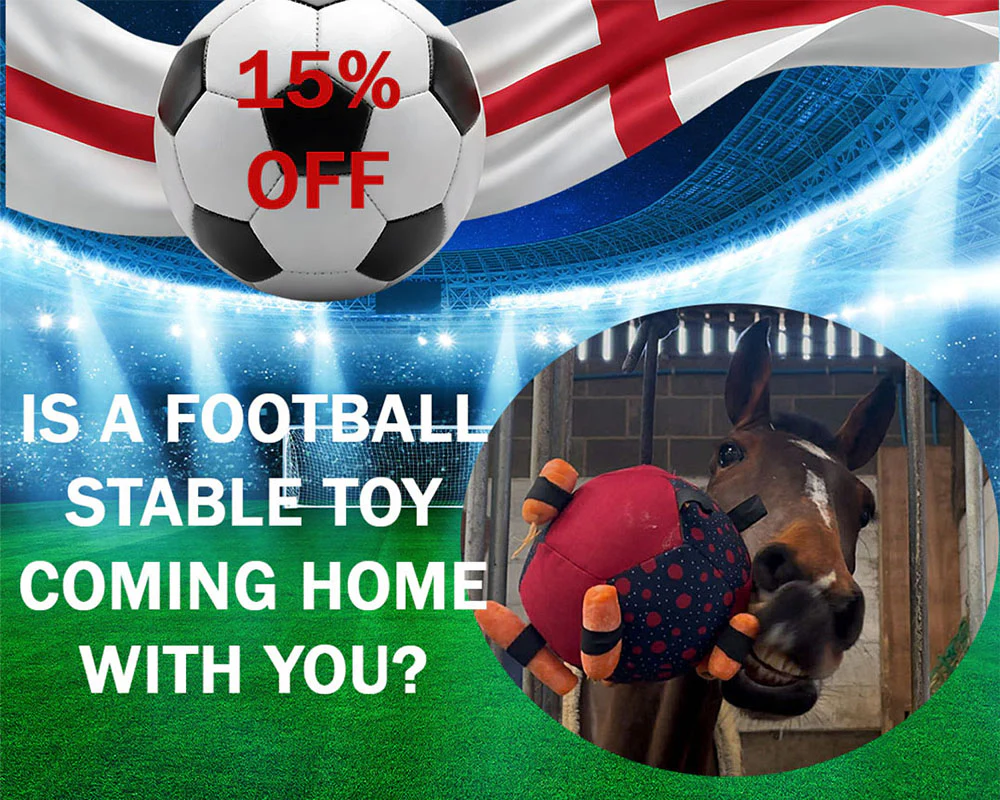 Unrivalled Comfort for Every Horse