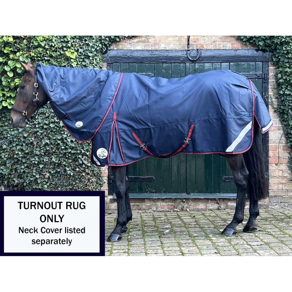 100g Standard V2 Turnout Rug - Image 5