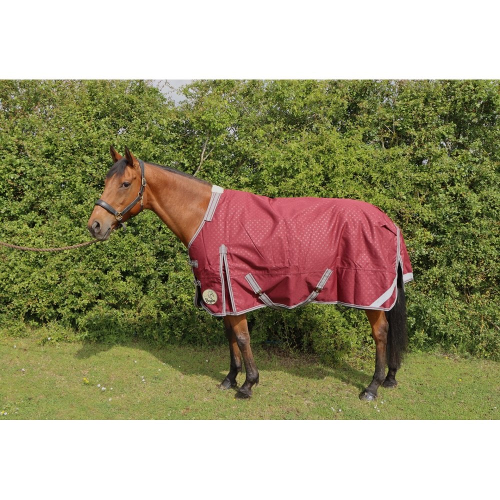 100g Standard V2 Turnout Rug - Image 7