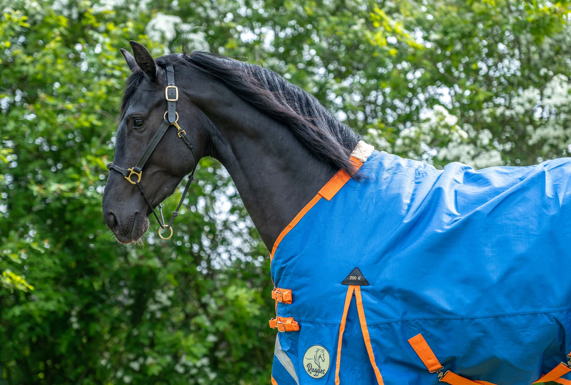 200g Middleweight 1200D V2 Standard Turnout Rug - Image 3