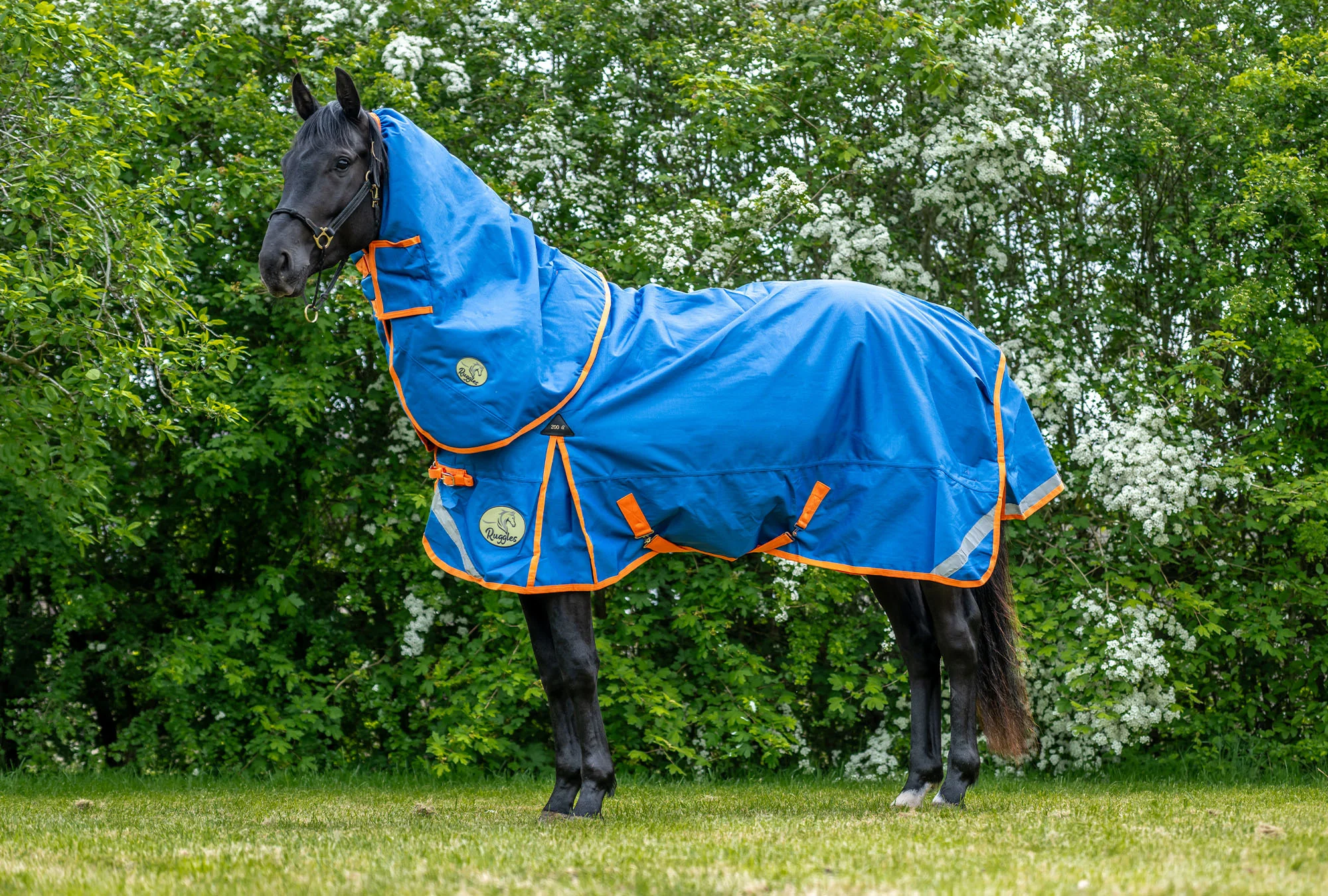 200g Middleweight 1200D V2 Standard Turnout Rug - Image 6