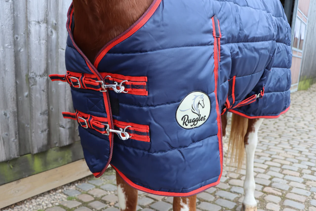 400g Standard Stable Rug With Detachable Neck - Image 3