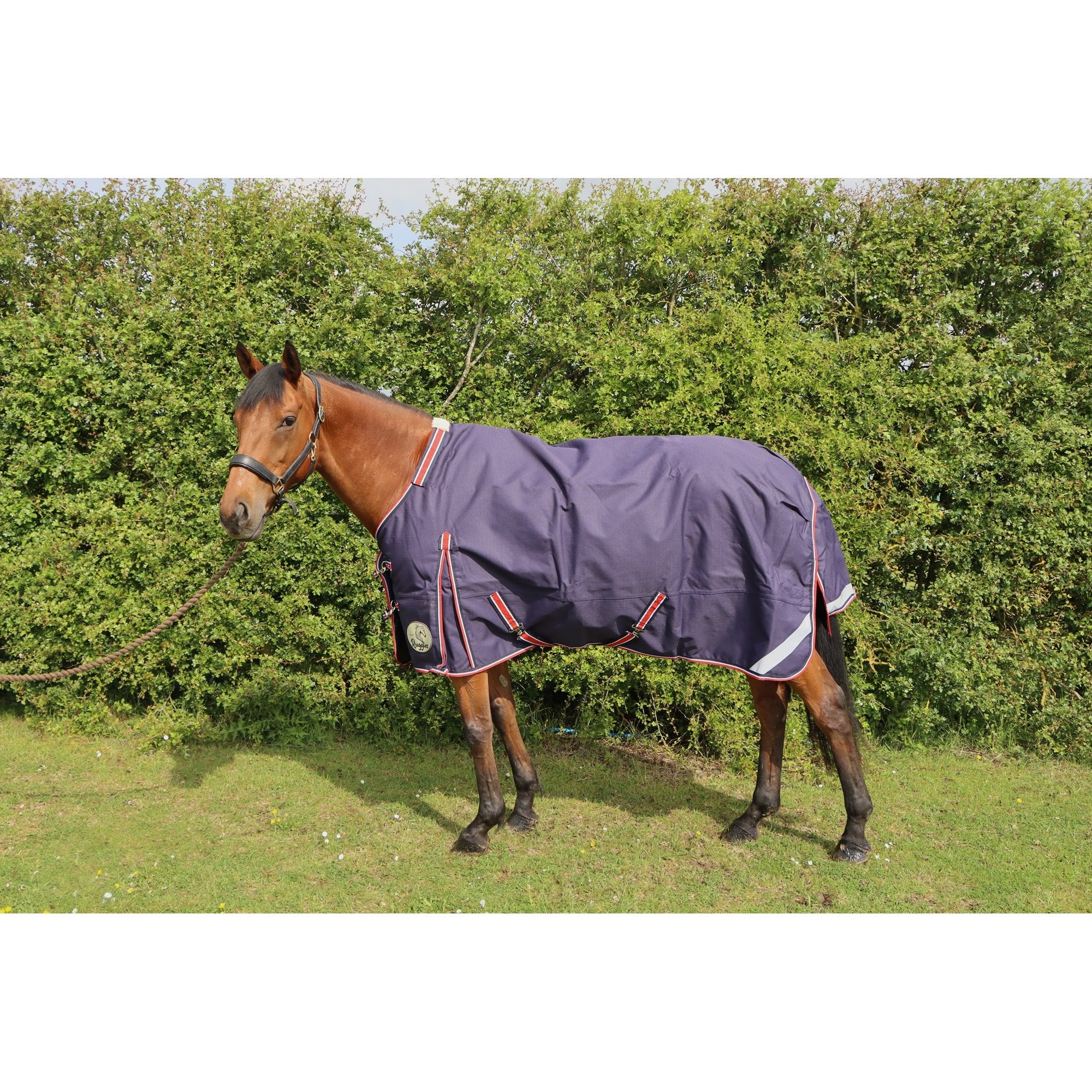 50g V2 Lightweight 1200D Standard Turnout Rug - Image 11
