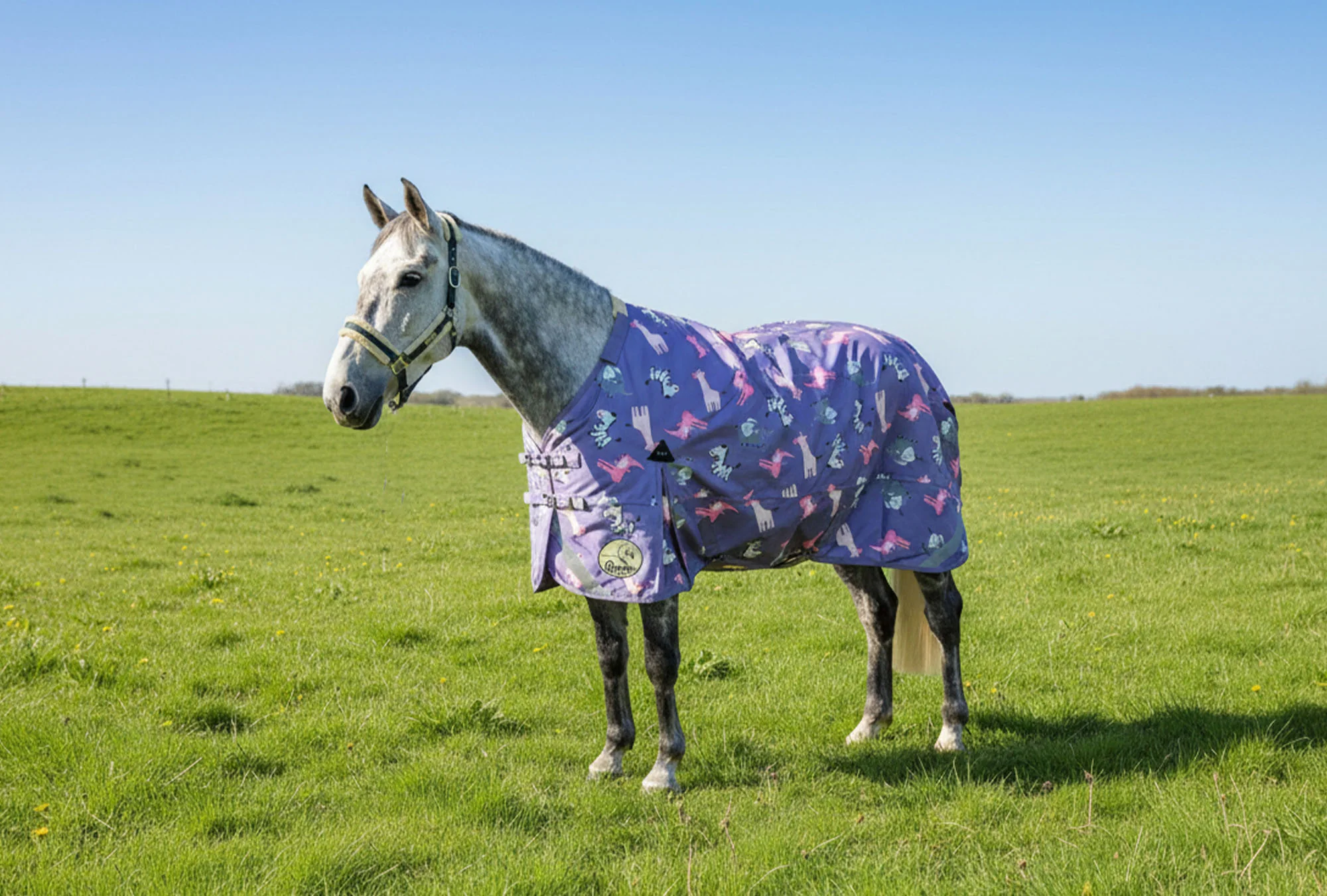 50g V2 Lightweight 1200D Standard Turnout Rug - Image 3