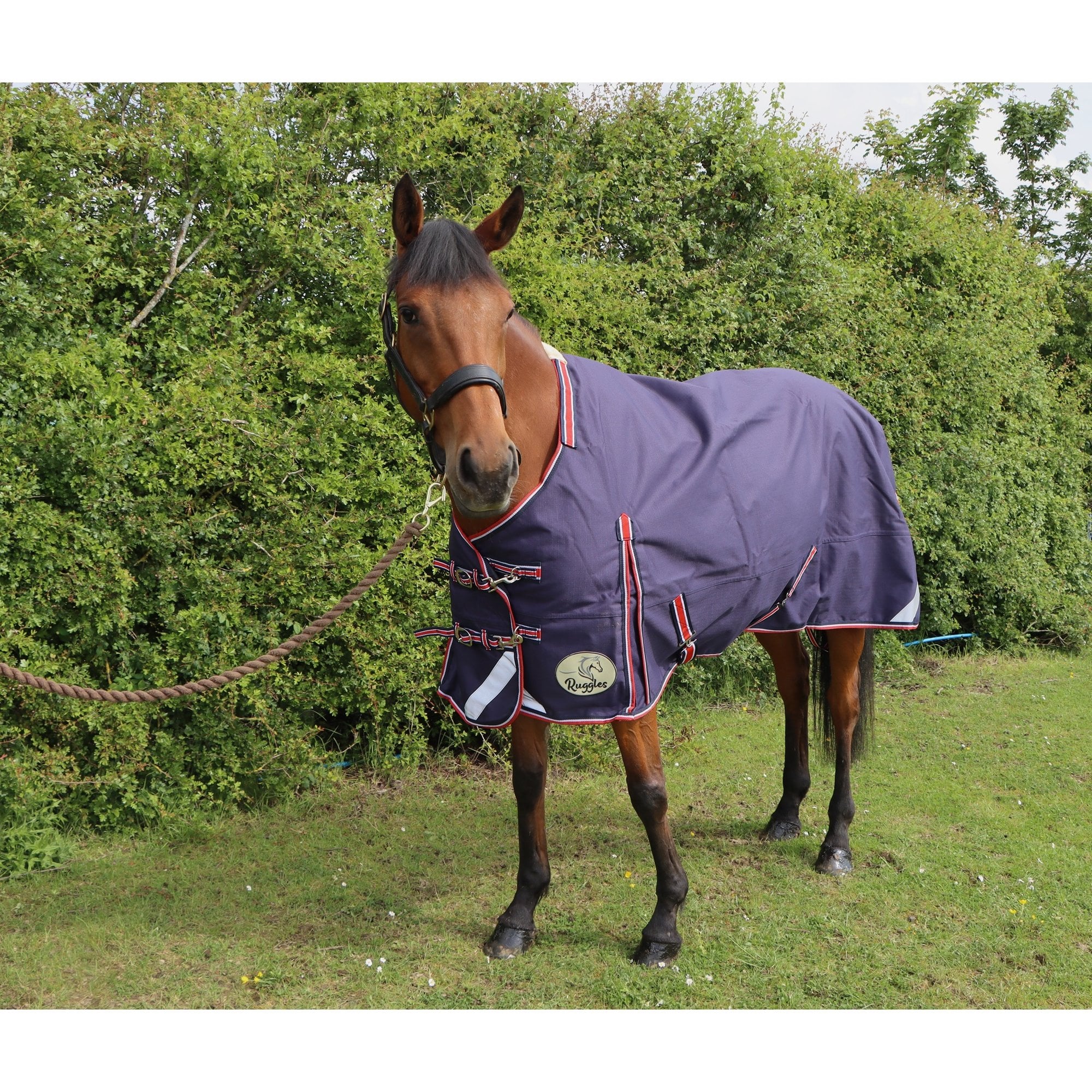 50g V2 Lightweight 1200D Standard Turnout Rug - Image 7