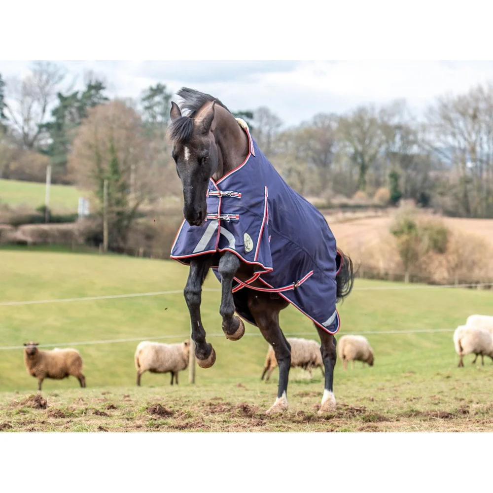 50g V2 Lightweight 1200D Standard Turnout Rug - Image 8