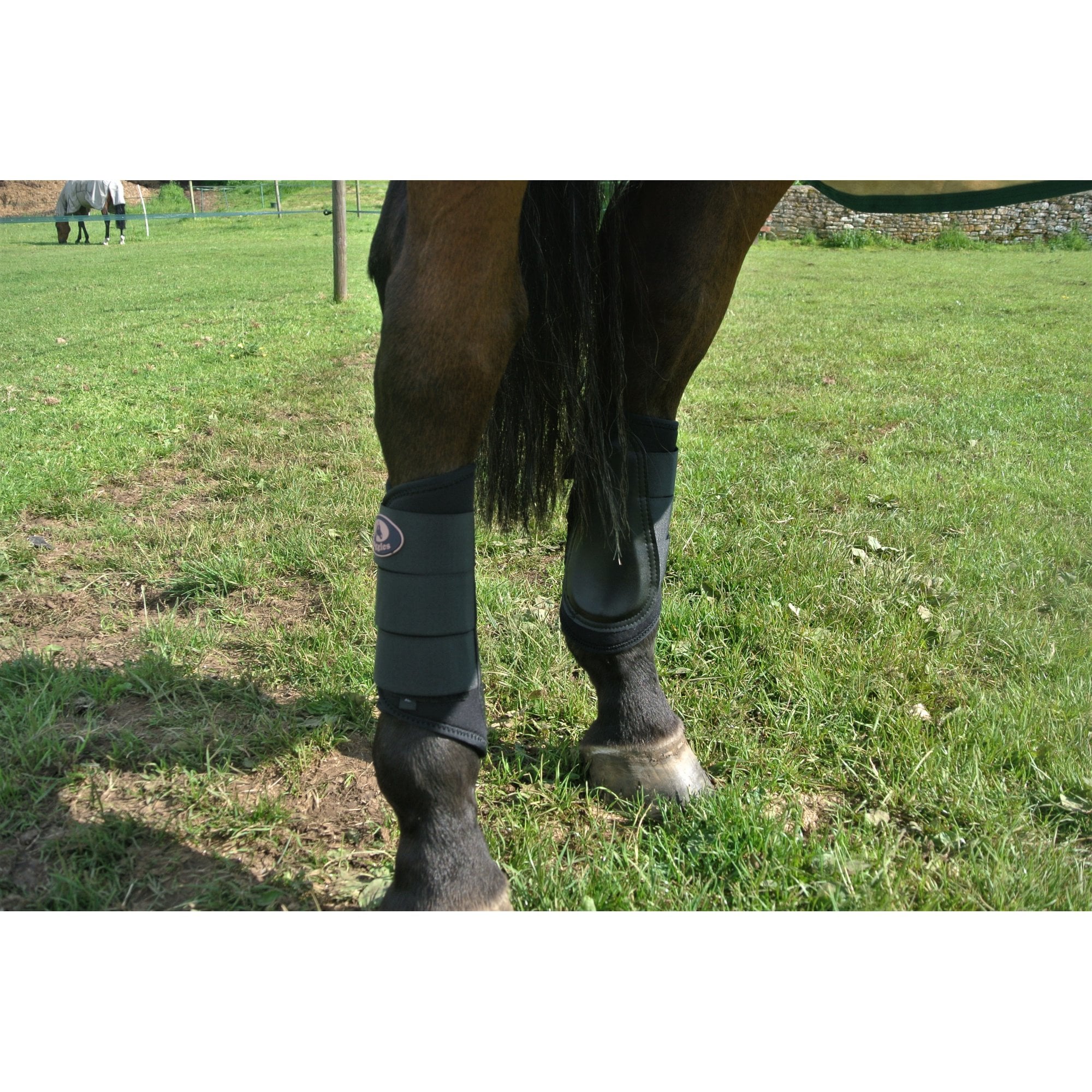 Brushing Boots - Image 3