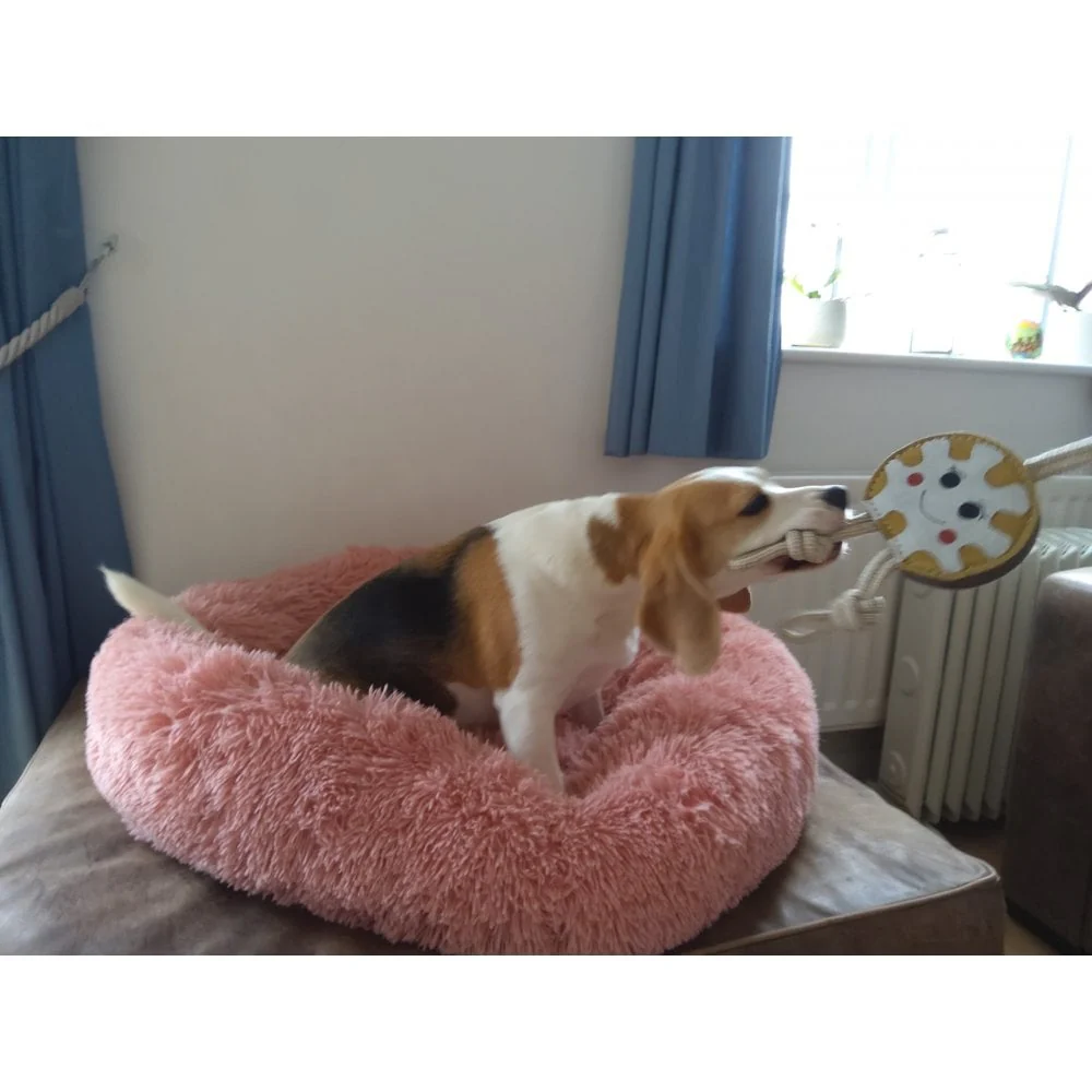 Dog Toy - Doughnut - Image 3