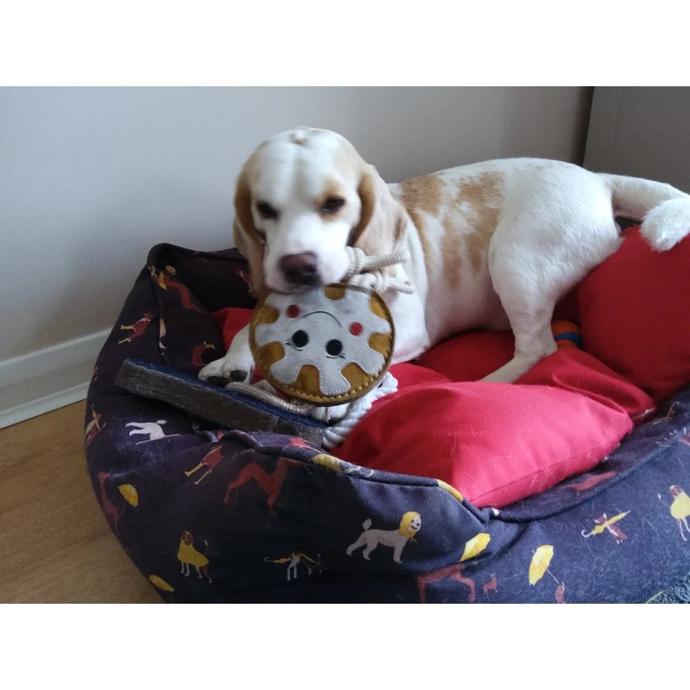 Dog Toy - Doughnut - Image 4