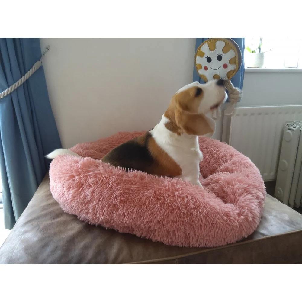 Dog Toy - Doughnut - Image 5