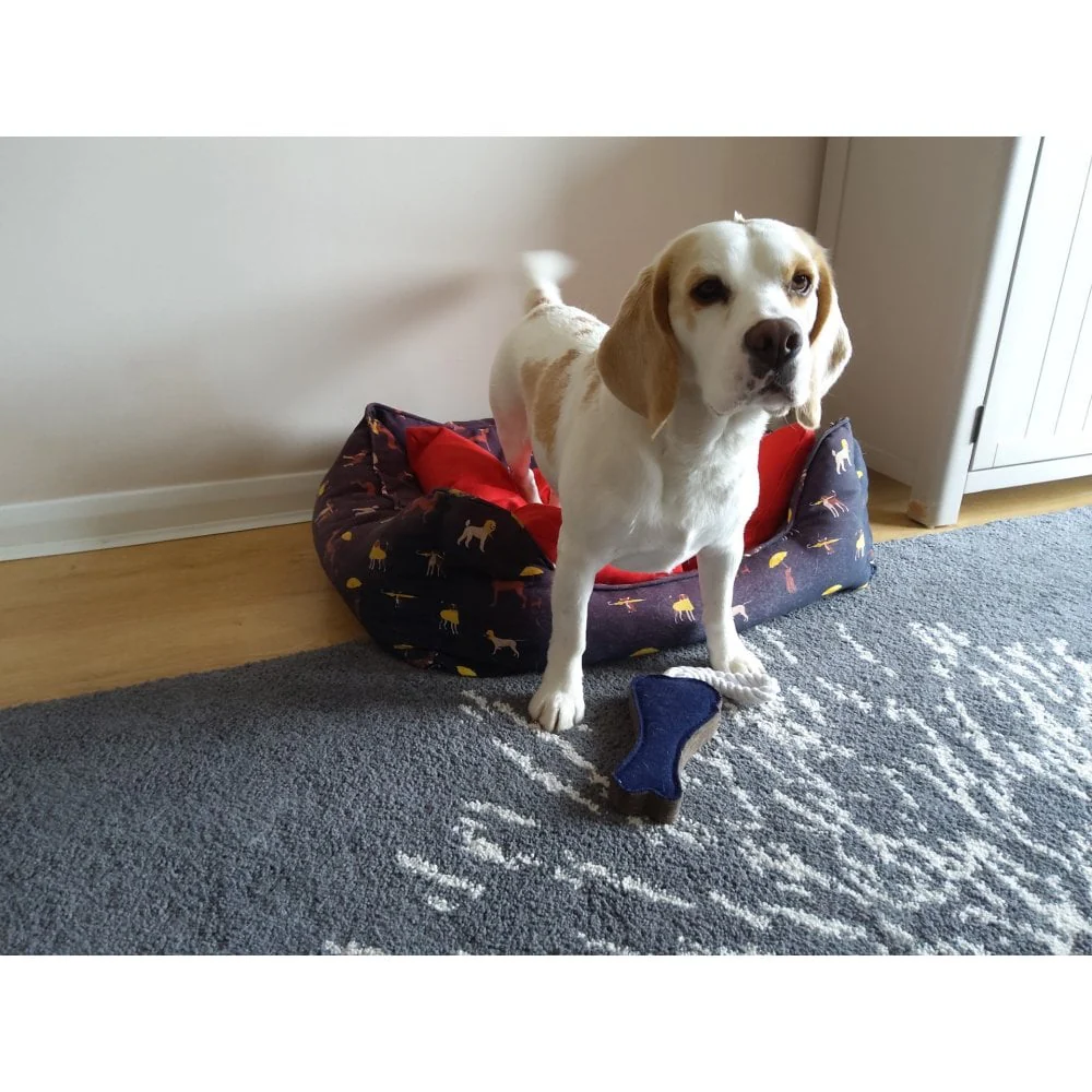 Dog Toy - Fabric Bone - Image 2