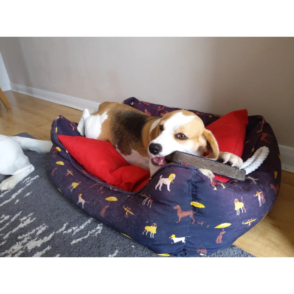 Dog Toy - Fabric Bone - Image 3