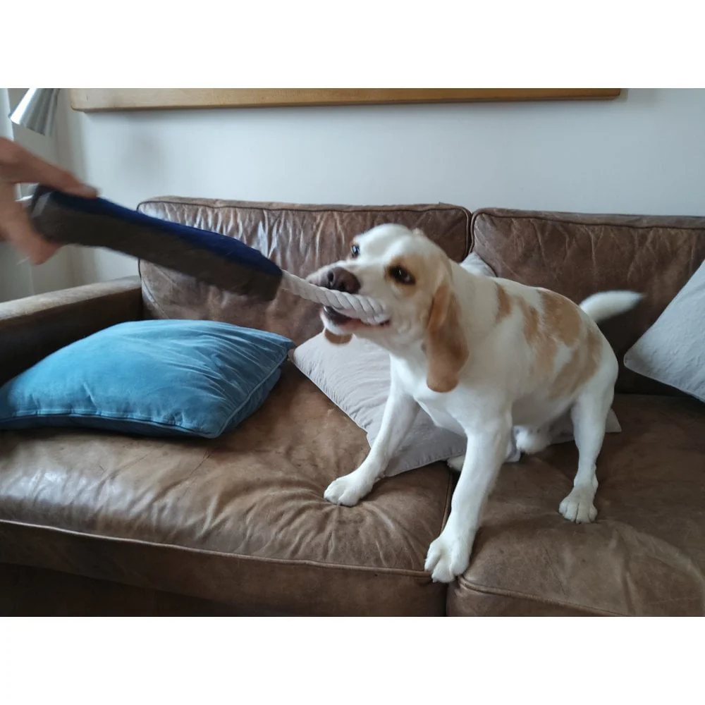 Dog Toy - Fabric Bone - Image 6
