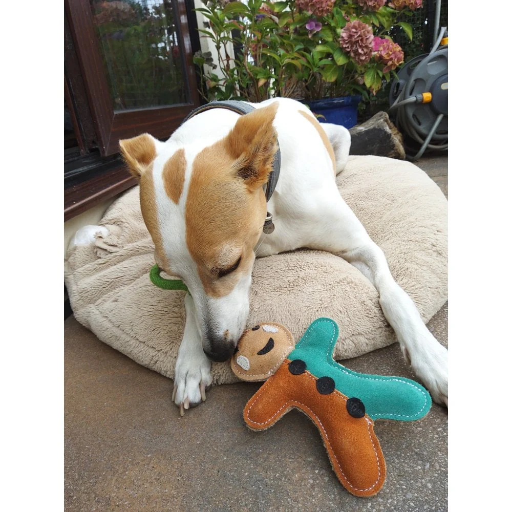 Dog Toy - Gingerbread Man - Image 4