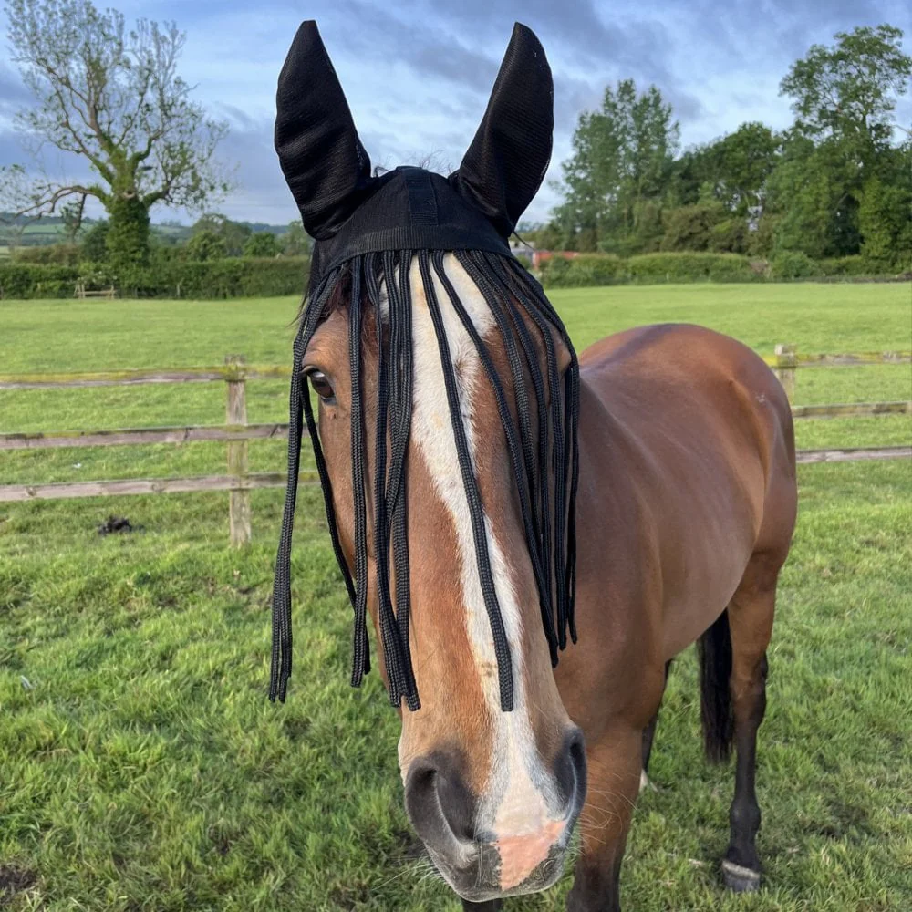 Fly Fringe with Ears - Image 5