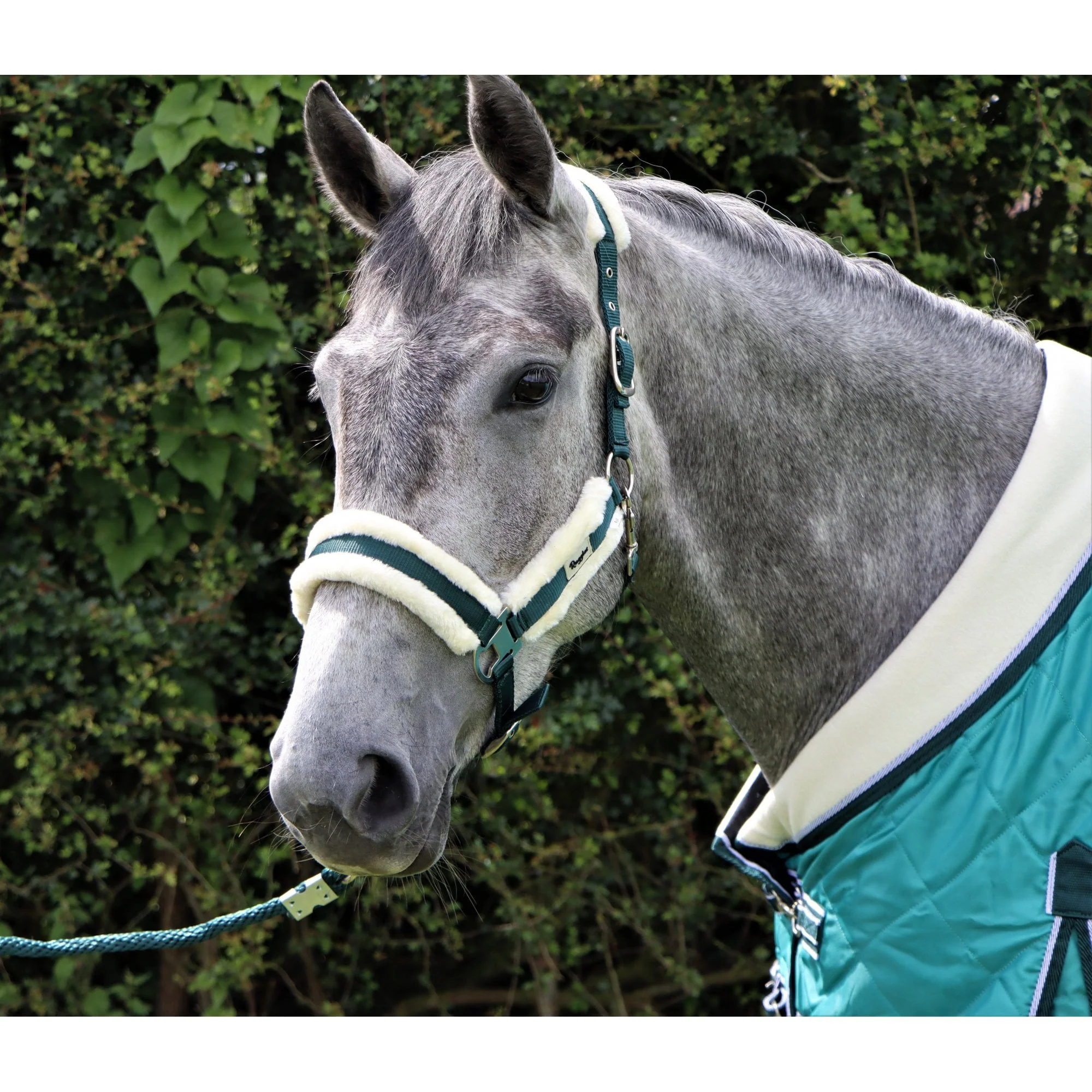 Fully Adjustable Head Collar With Contrast Fur - Image 10