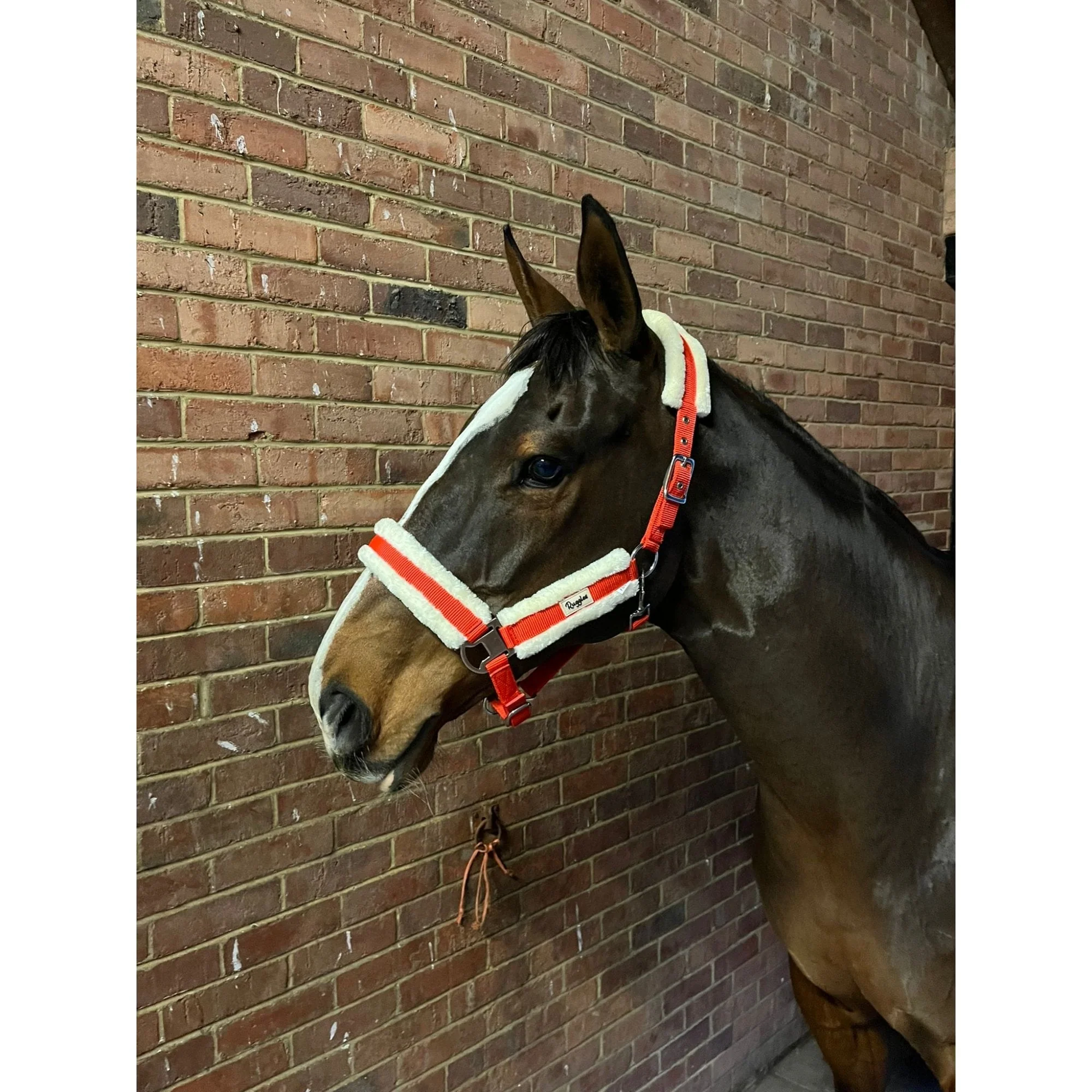 Fully Adjustable Head Collar With Contrast Fur - Image 7