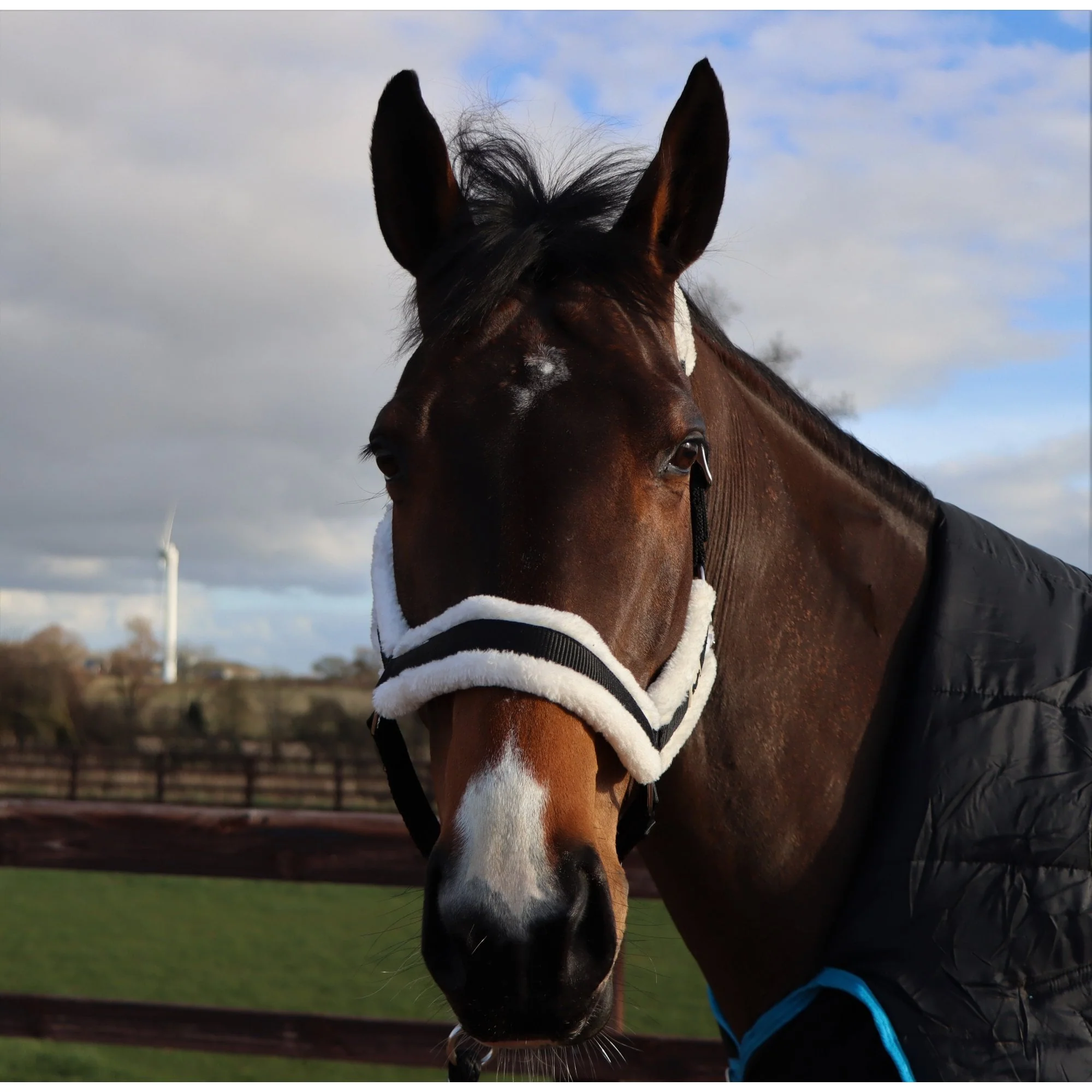 Fully Adjustable Head Collar With Contrast Fur - Image 9