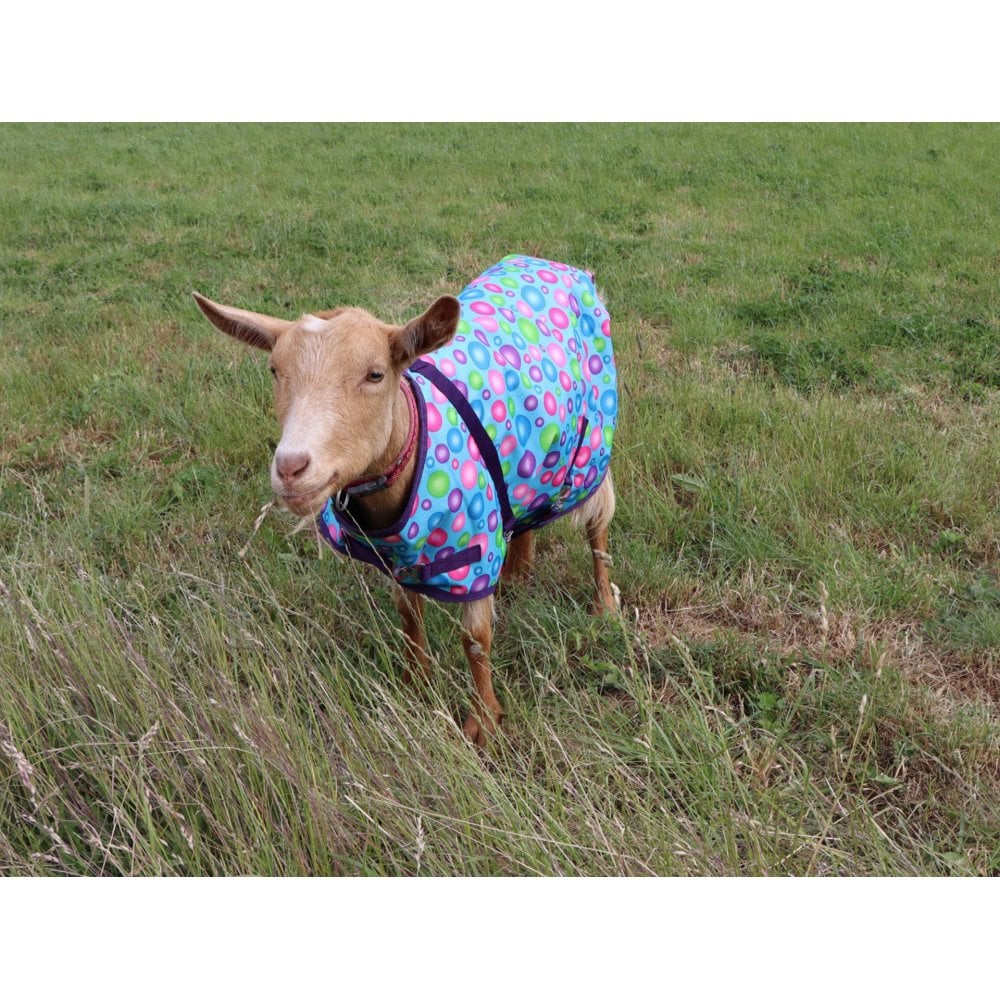 Goat Coat - Image 6
