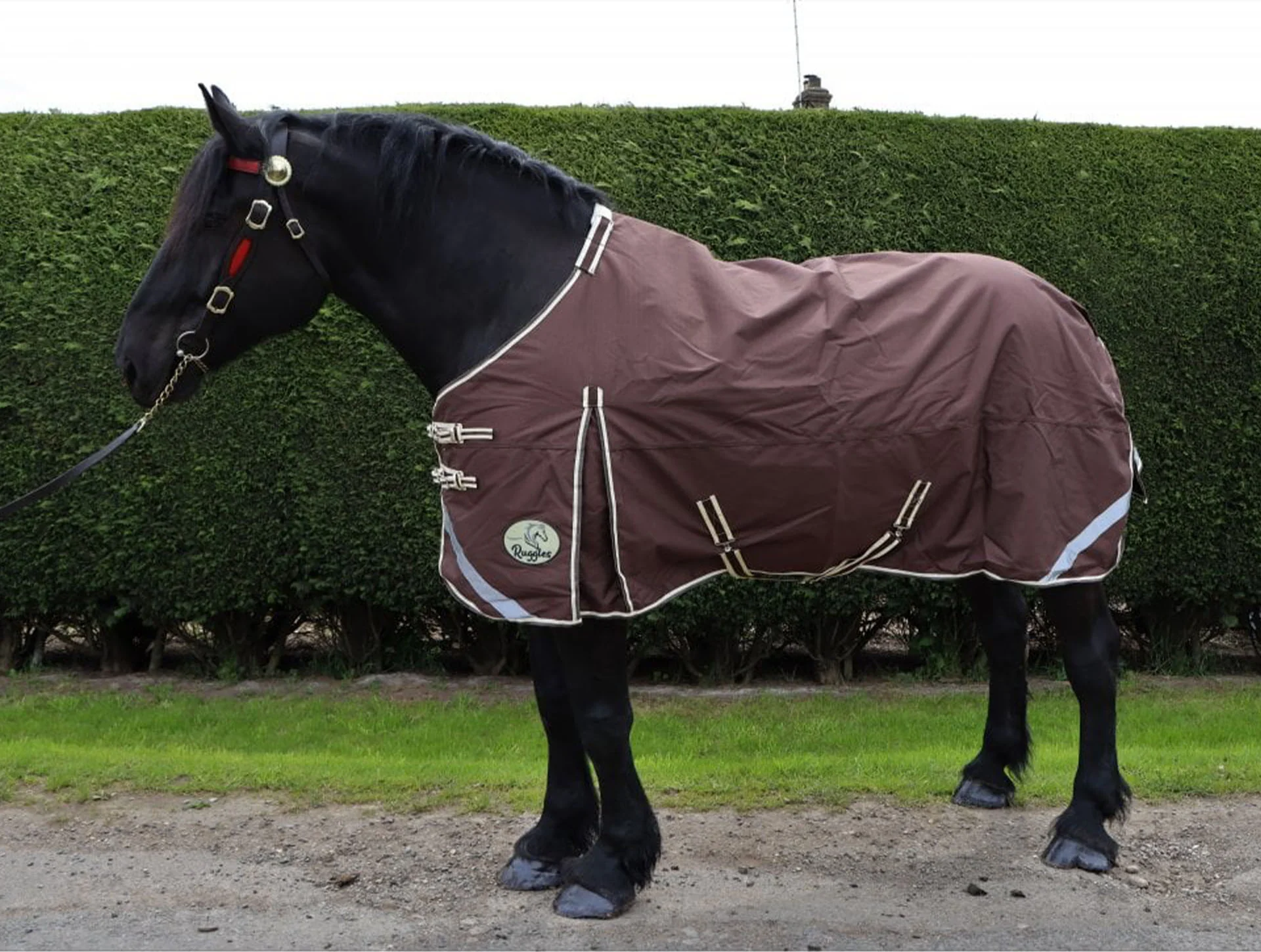 Heavy Horse 100g 1200D V2 Turnout Rug - Image 7
