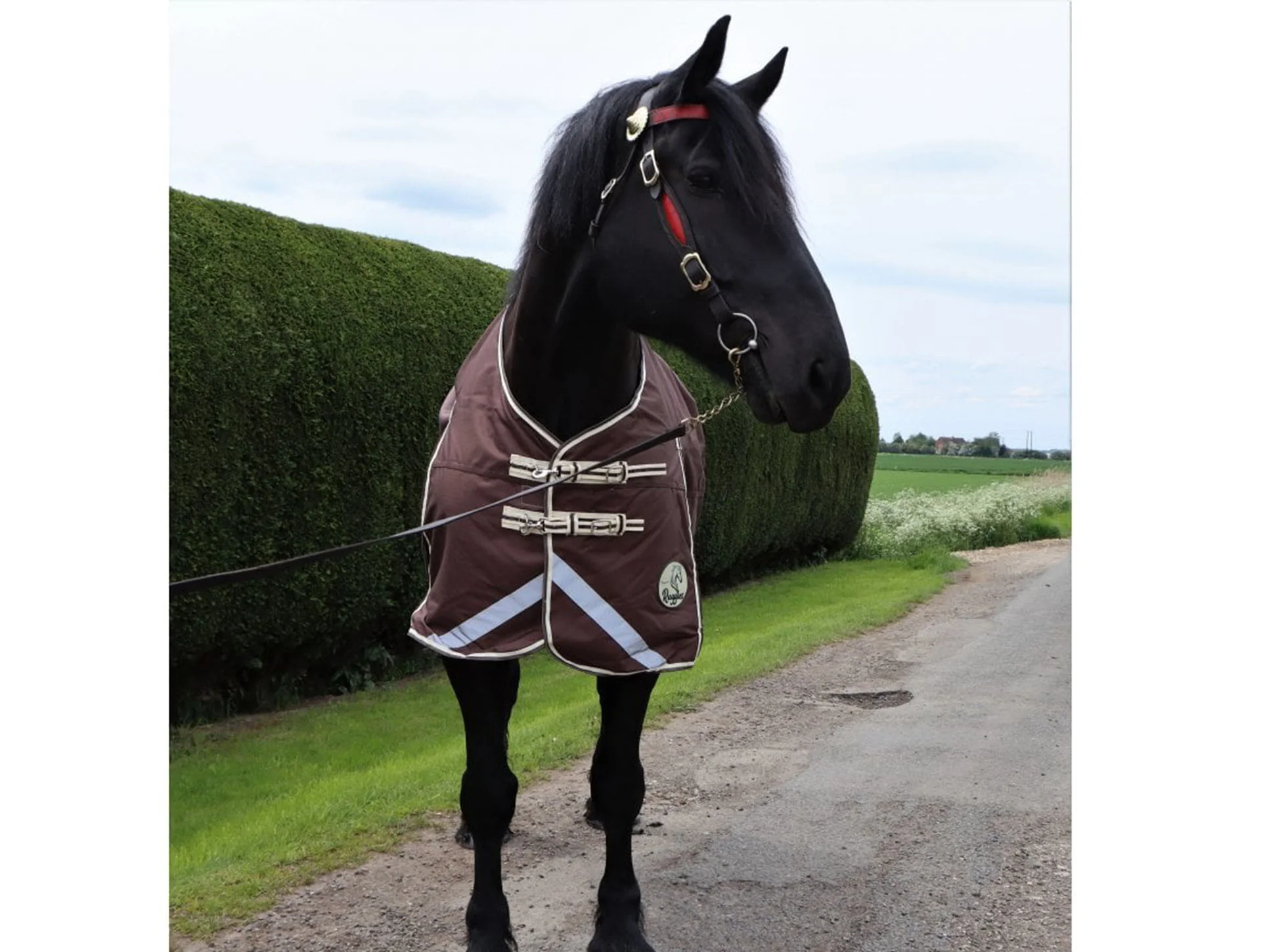 Heavy Horse 100g 1200D V2 Turnout Rug - Image 8