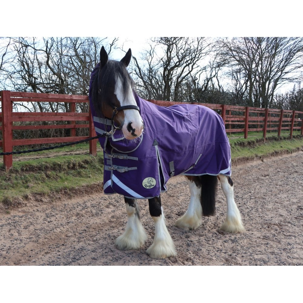 Heavy Horse 100g Combo Turnout Rug - Image 4