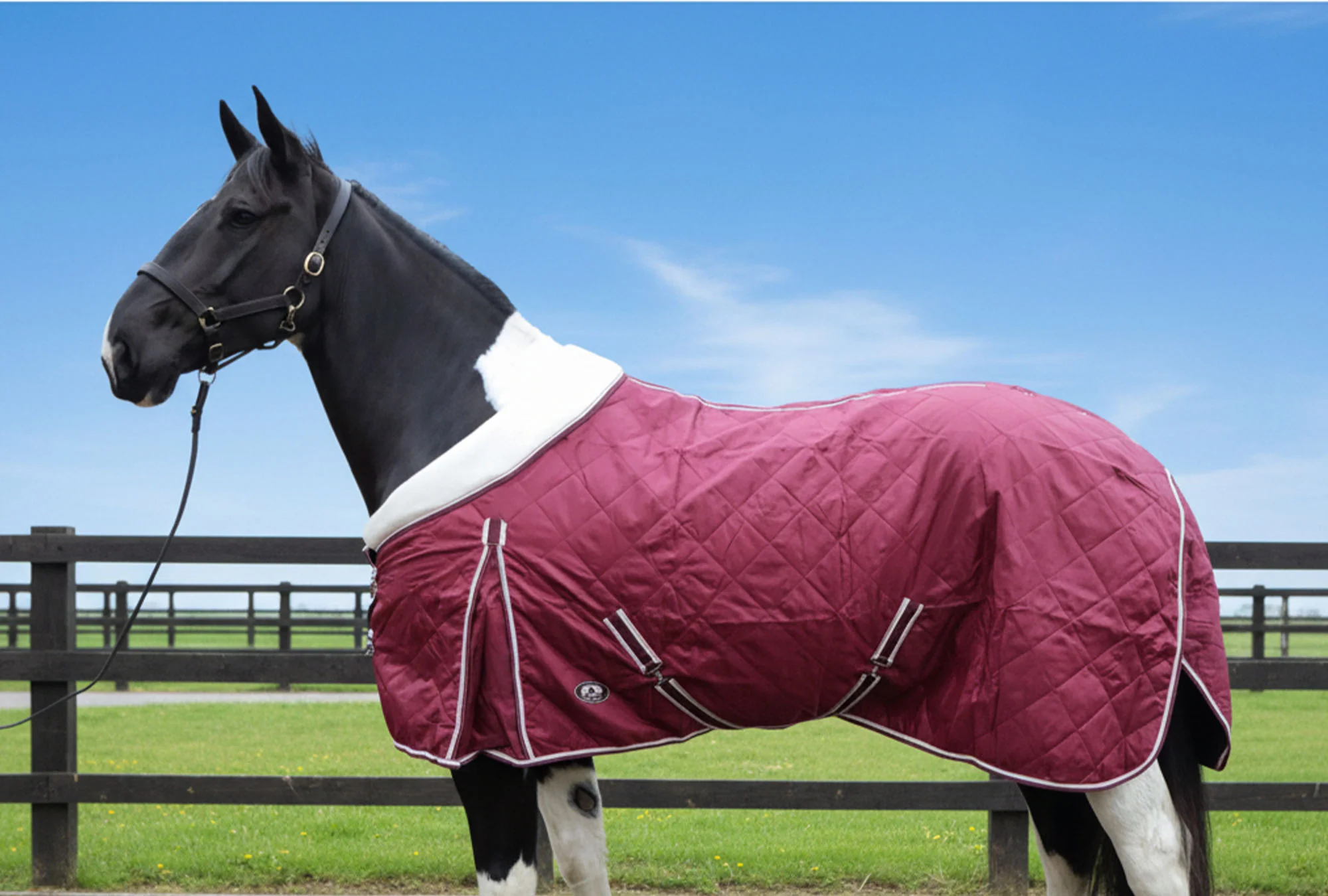 Heavy Horse 50g Stable Rug With Fleece Collar - Image 6