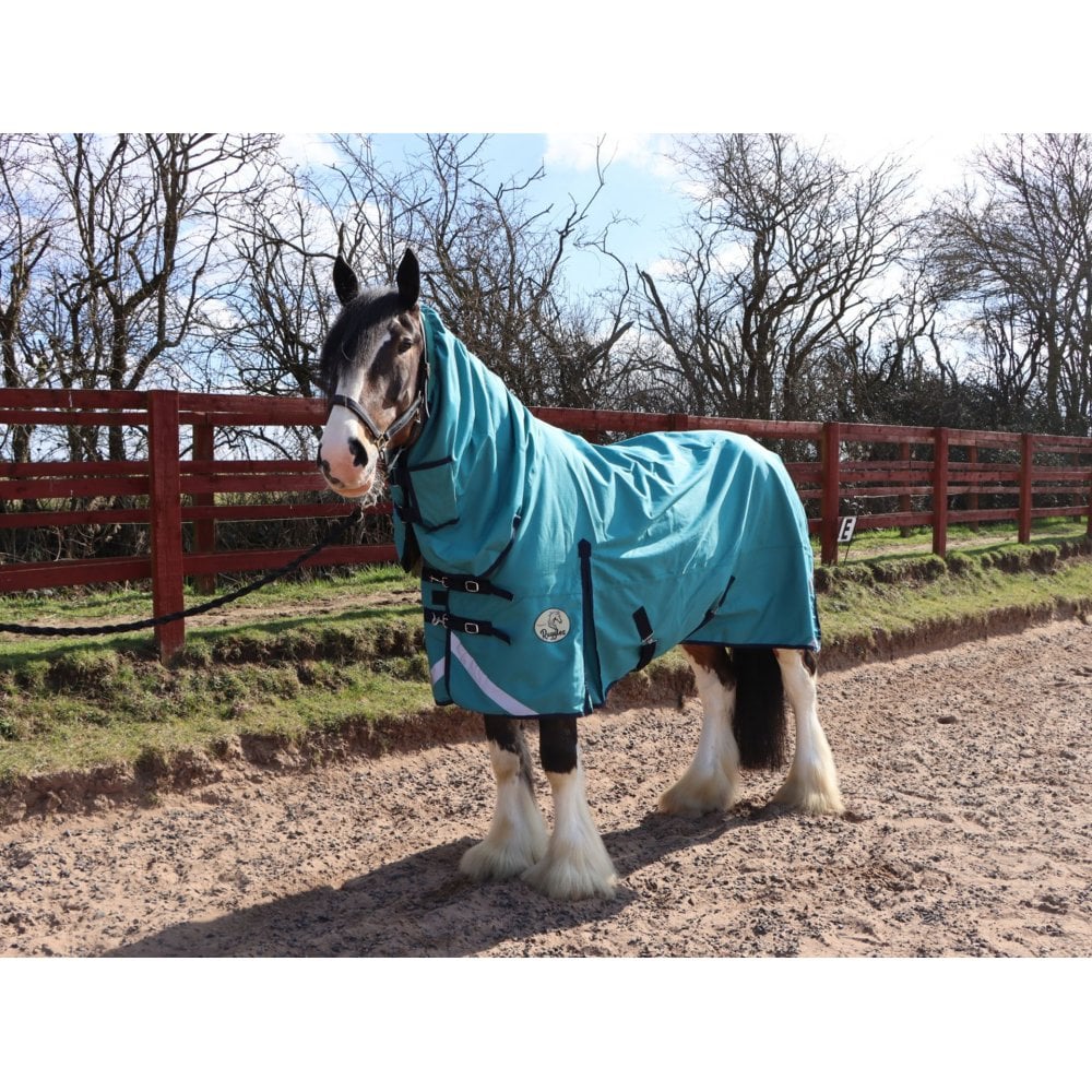 Heavy Horse Combo Turnout Rug 50g - Image 7
