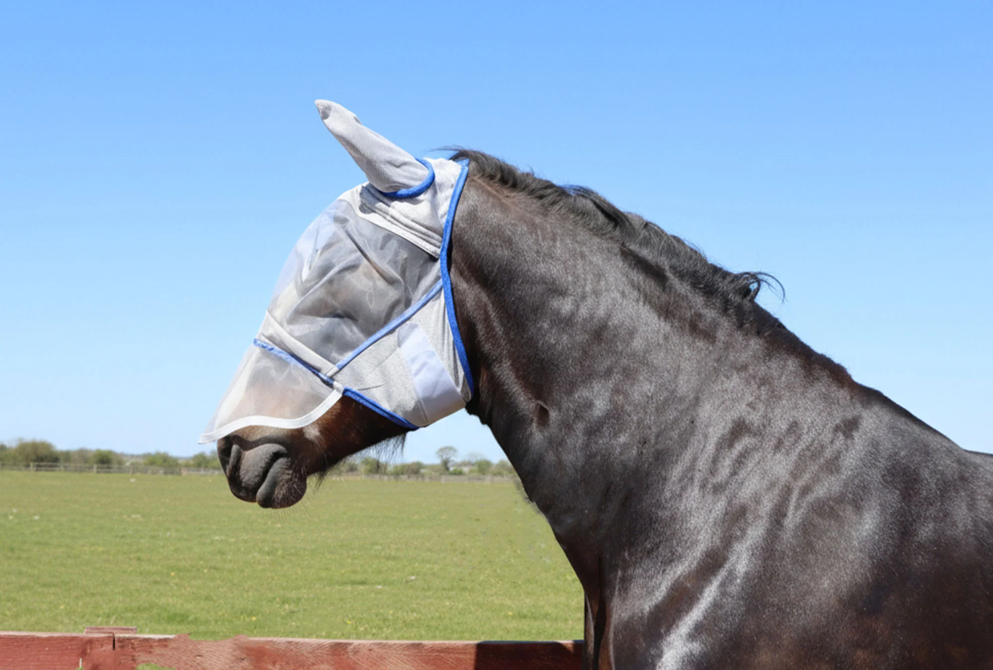 Heavy Horse Fly Mask With Or Without Nose Guard - Image 4