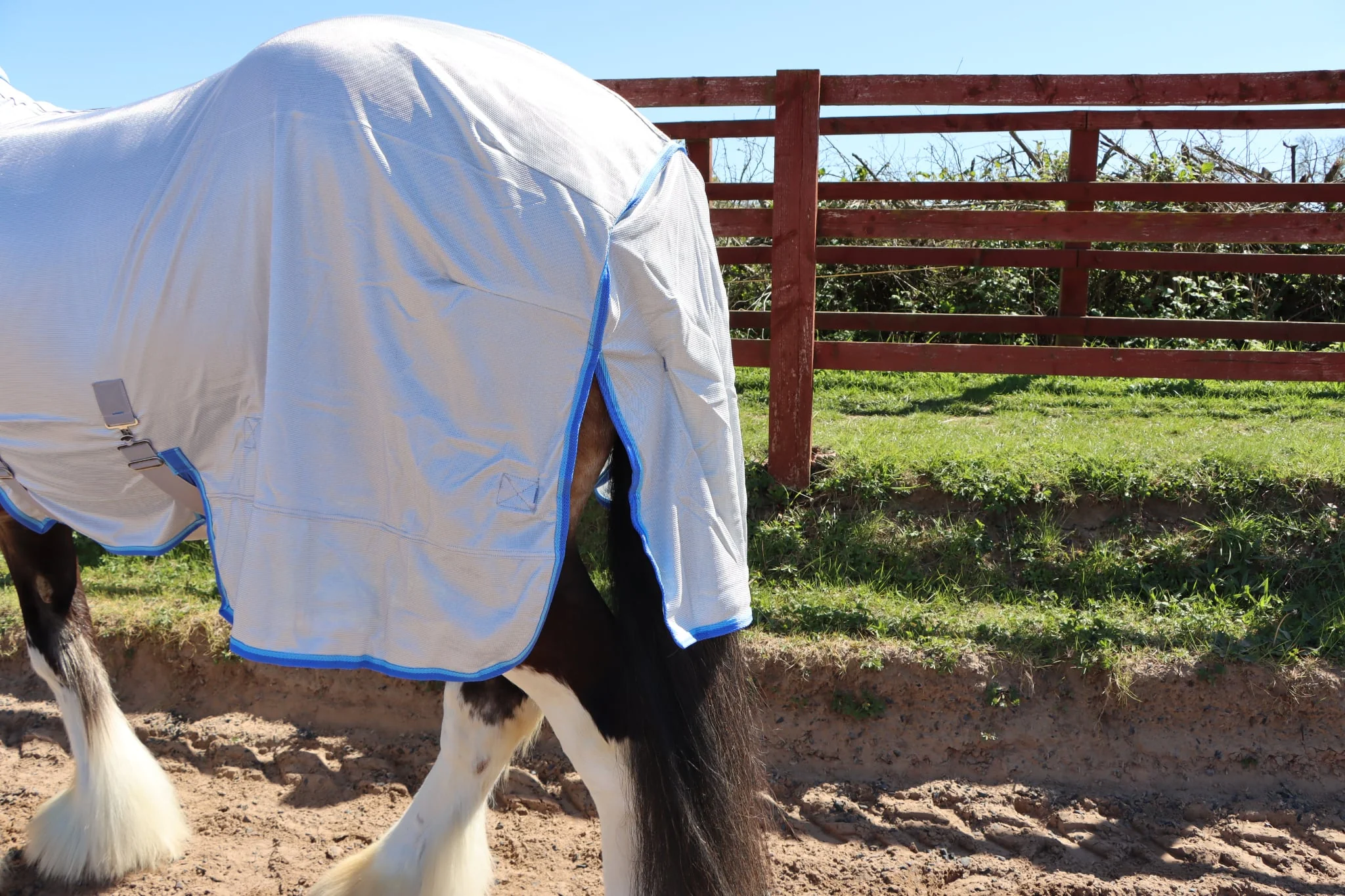 Heavy Horse Fly Rug And Neck Cover - Image 6