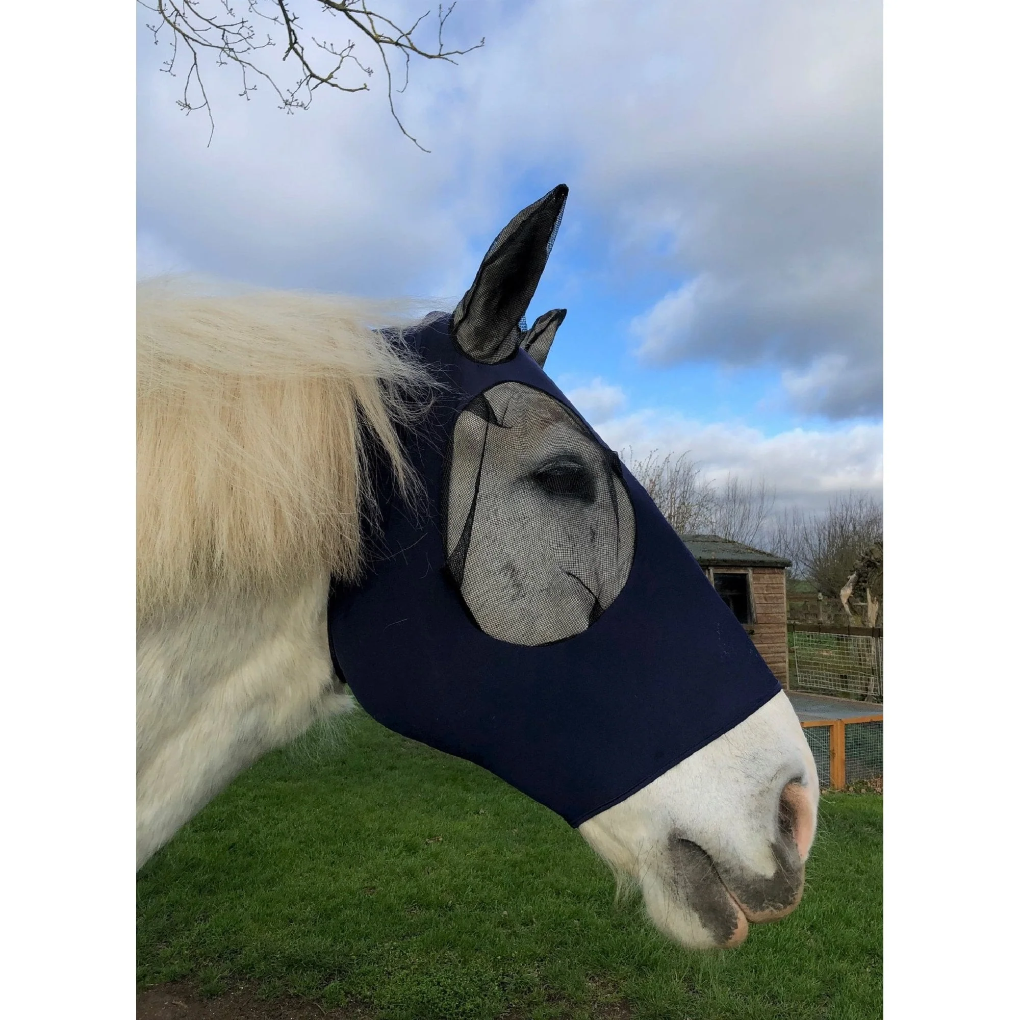 Heavy Horse Pull On Lycra Fly Mask - Image 5