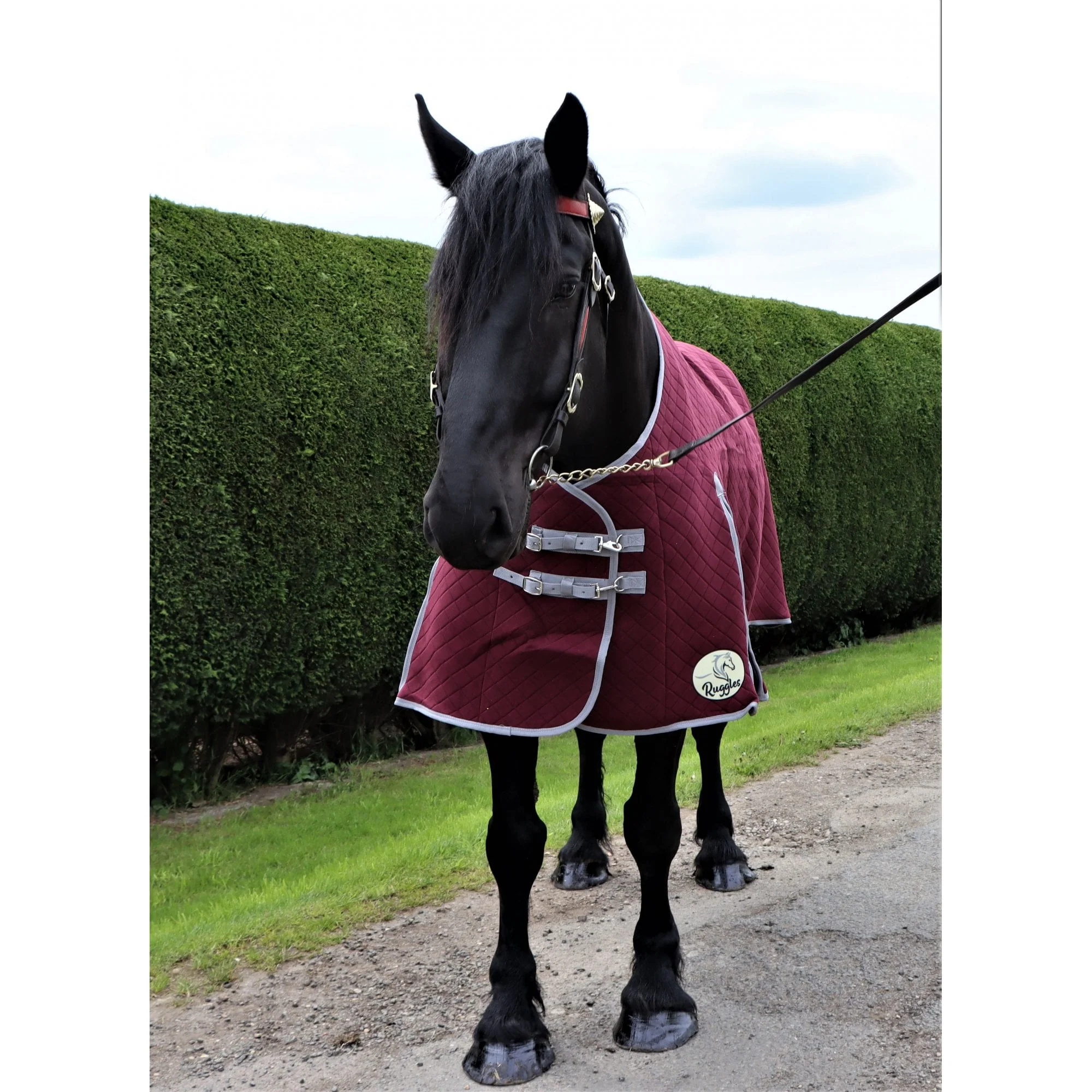 Heavy Horse Triple Layer Wicking Rug With Tail Flap - Image 4