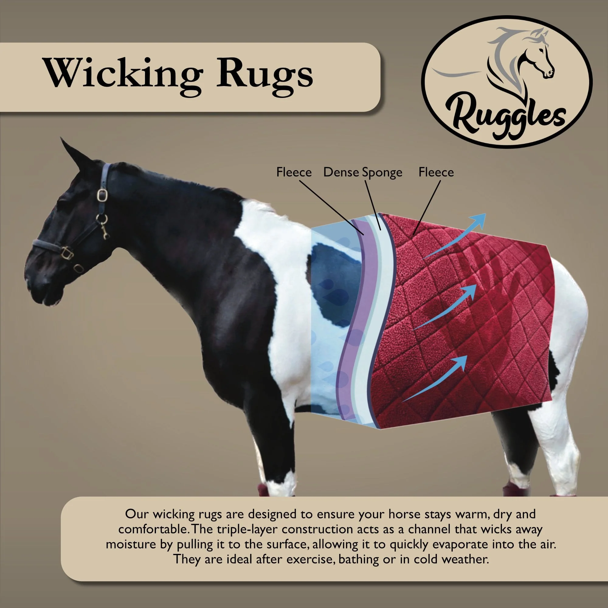 Heavy Horse Wicking Combo With Tail Flap - Image 6