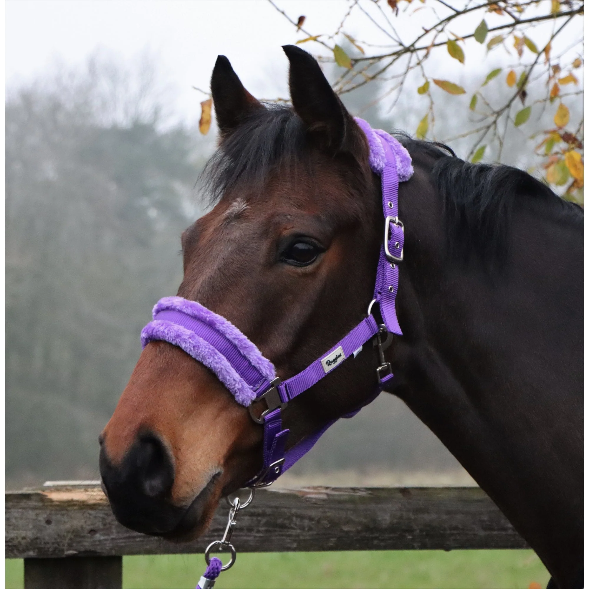 Horse and Pony Head Collar With Matching Fur - Image 13