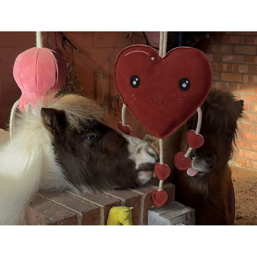 Horse Toy - Heart - Image 3