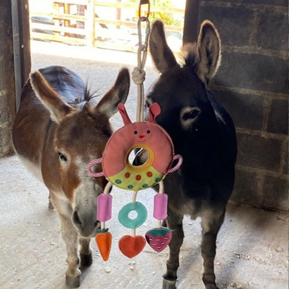 Horse Toy - Multi Ring - Image 2