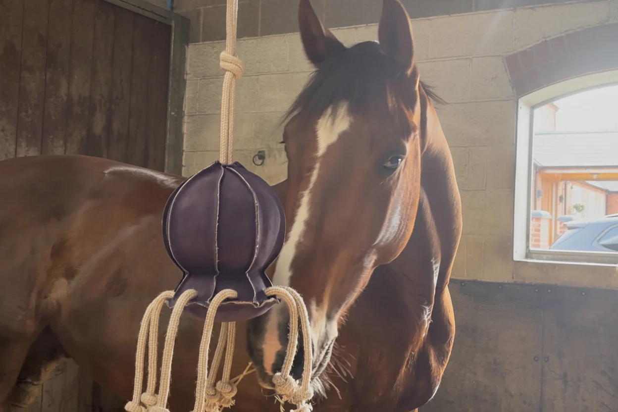 Horse Toy- Ollie Octopus - Image 10