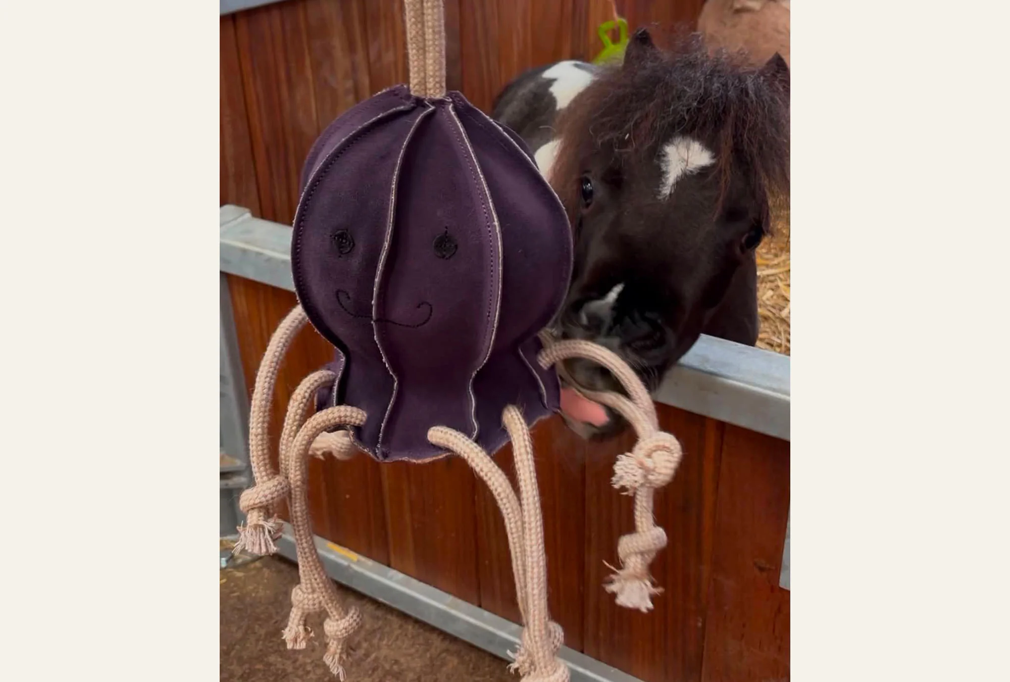 Horse Toy- Ollie Octopus - Image 3