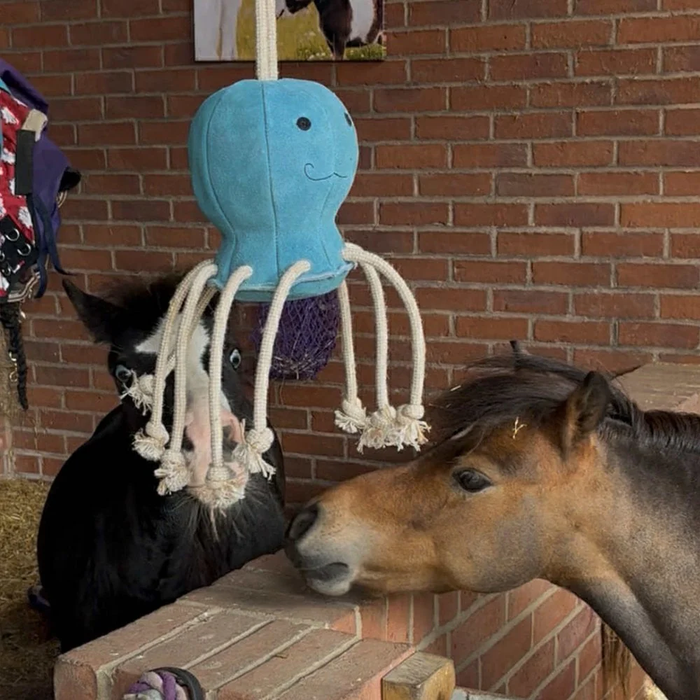 Horse Toy- Ollie Octopus - Image 4