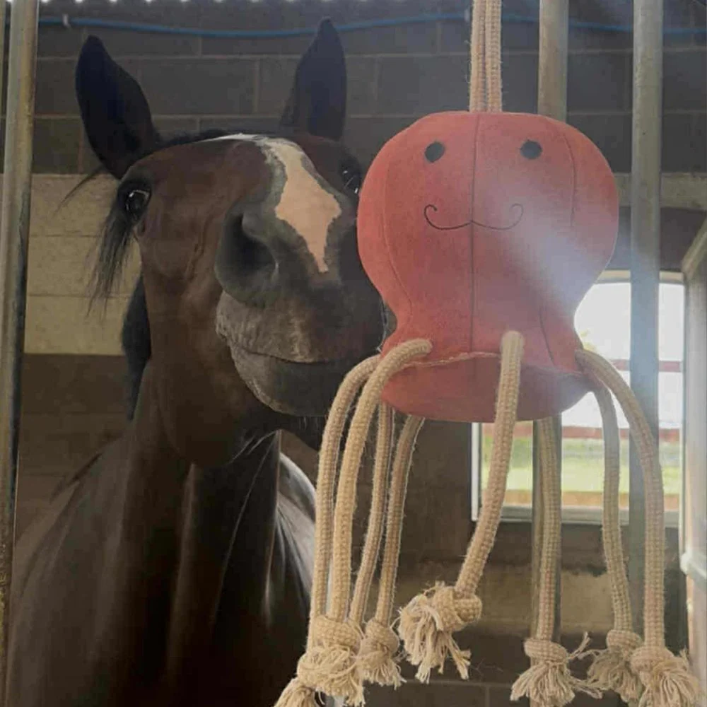 Horse Toy- Ollie Octopus - Image 6