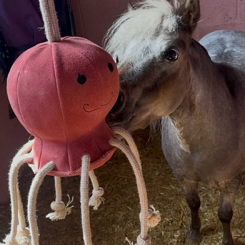 Horse Toy- Ollie Octopus - Image 9