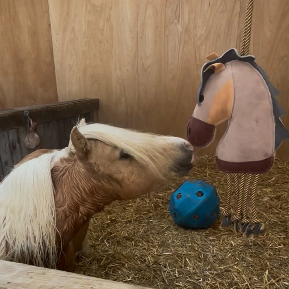 Horse Toy - Pony With Legs - Image 4