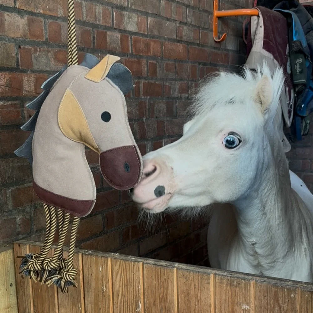 Horse Toy - Pony With Legs - Image 5