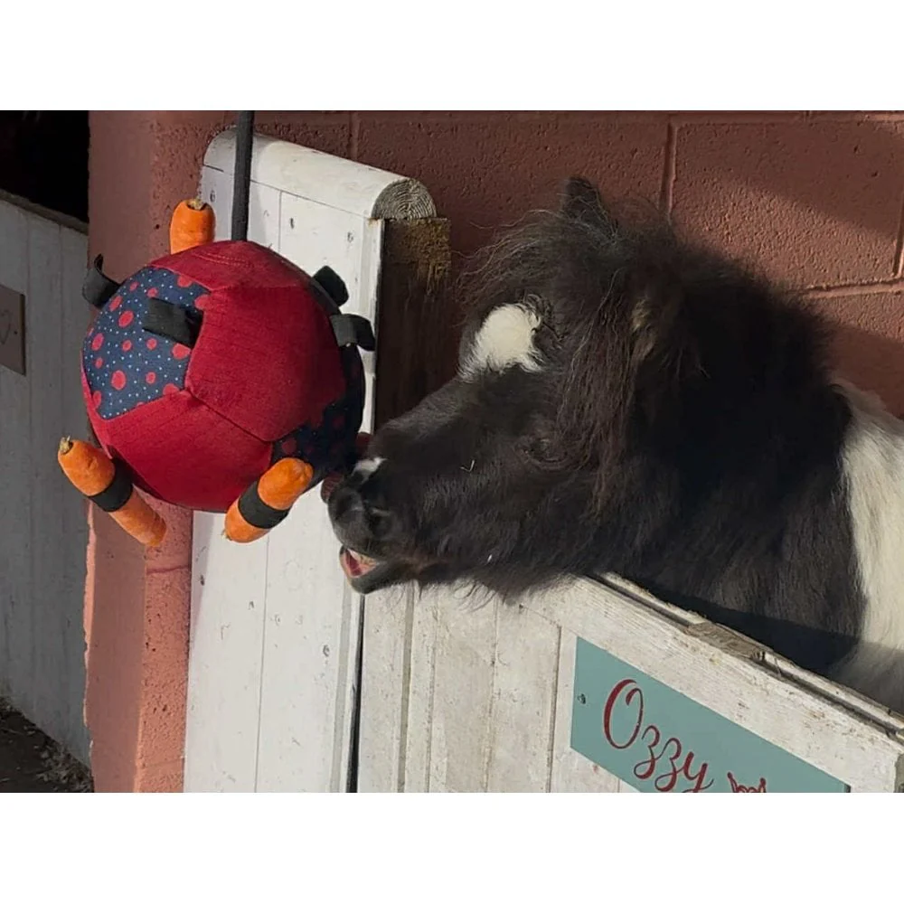 Horse Treat Toy - Football - Image 3