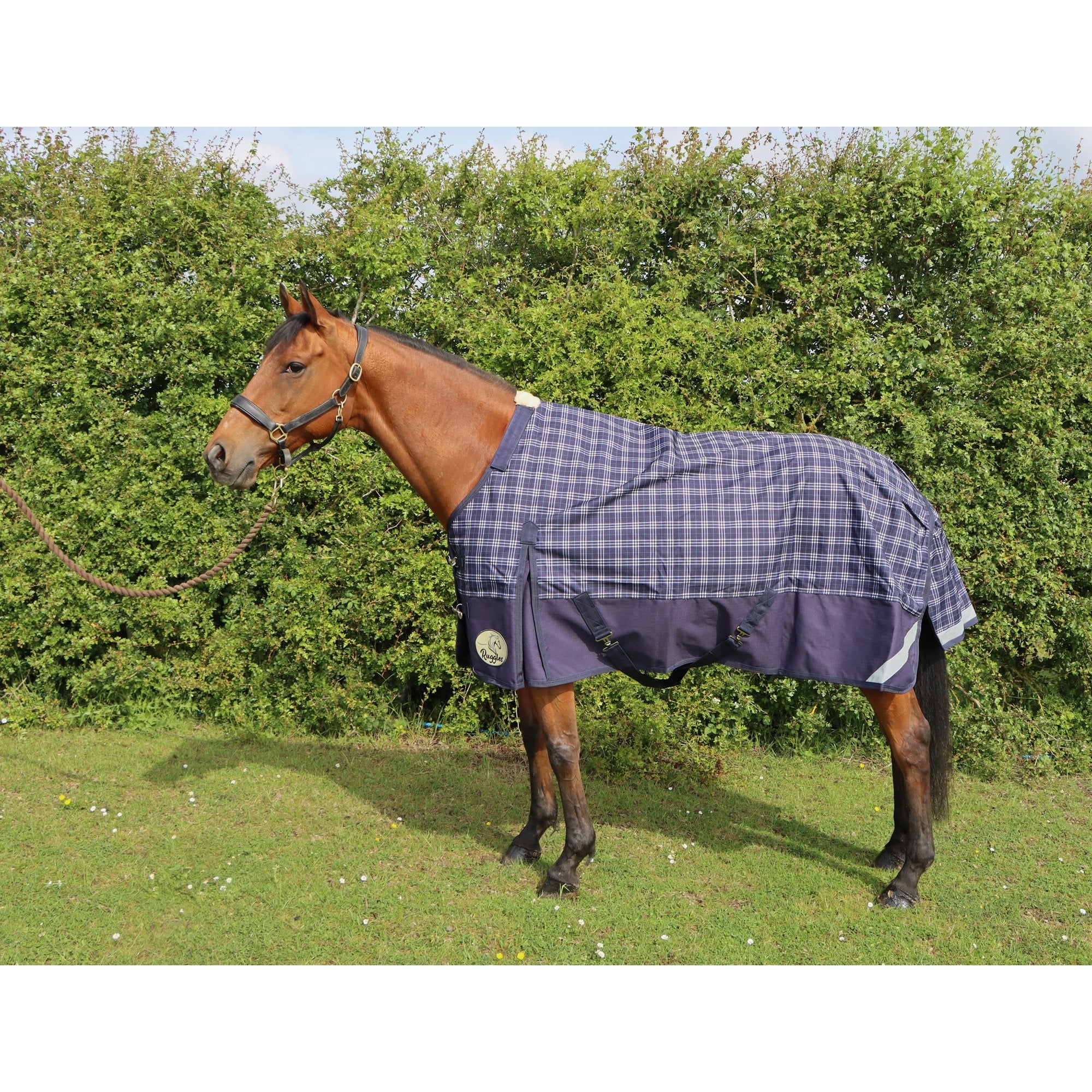 Lightweight 1200D No Fill V2 Standard Turnout Rug - Image 10