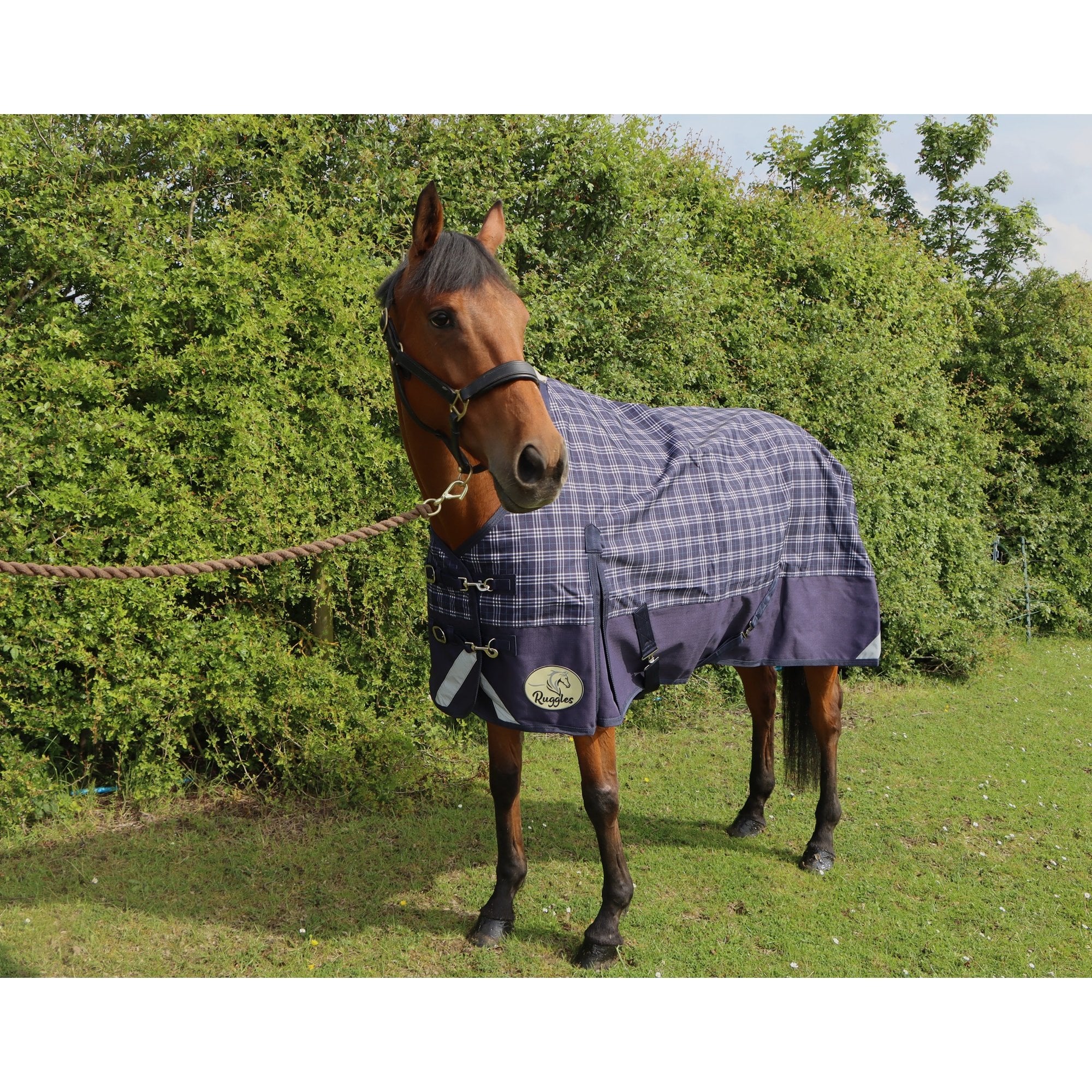 Lightweight 1200D No Fill V2 Standard Turnout Rug - Image 9