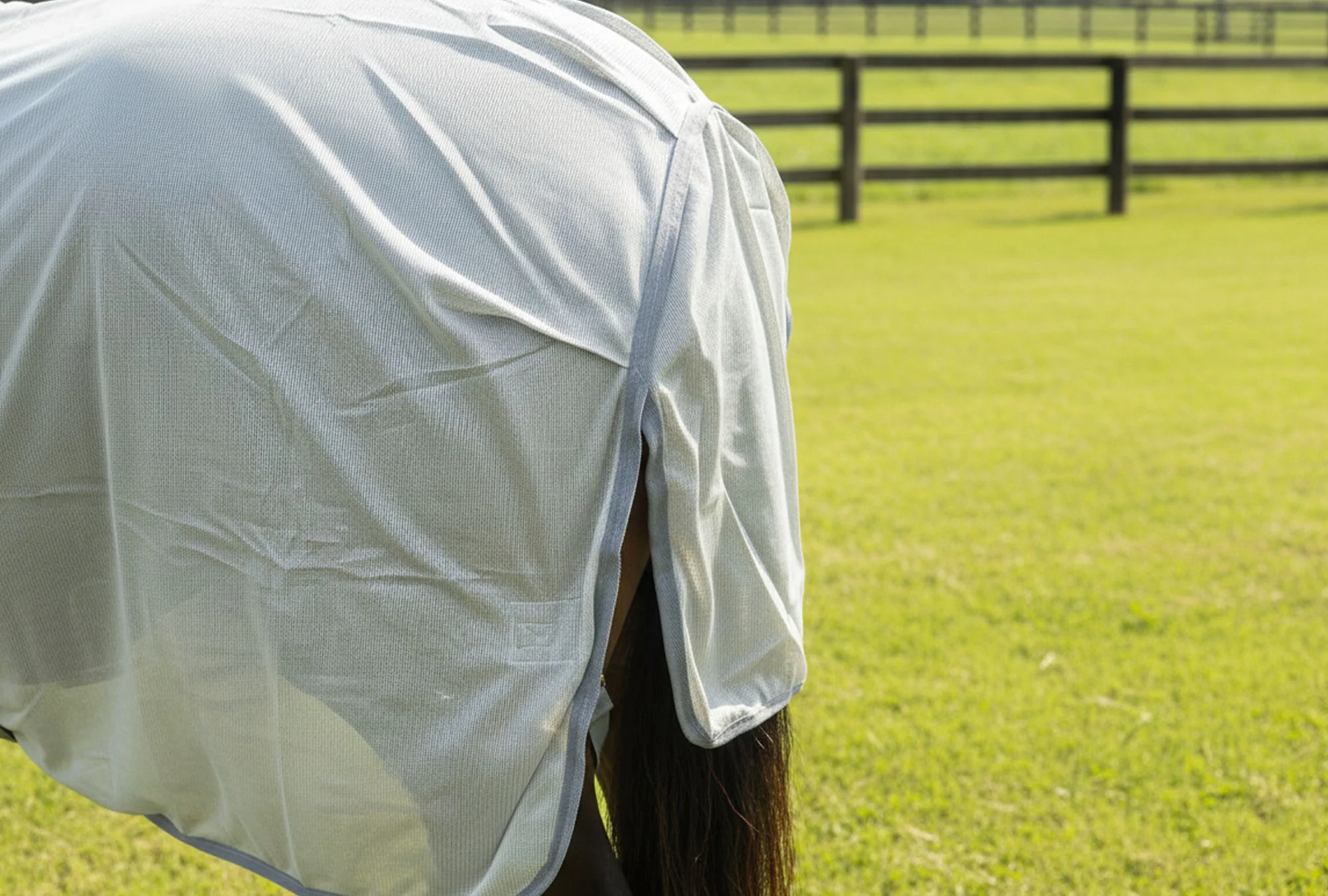 Lightweight Combo Fly Rug With Belly Band And Ear Holes (160g Mesh) - Image 4