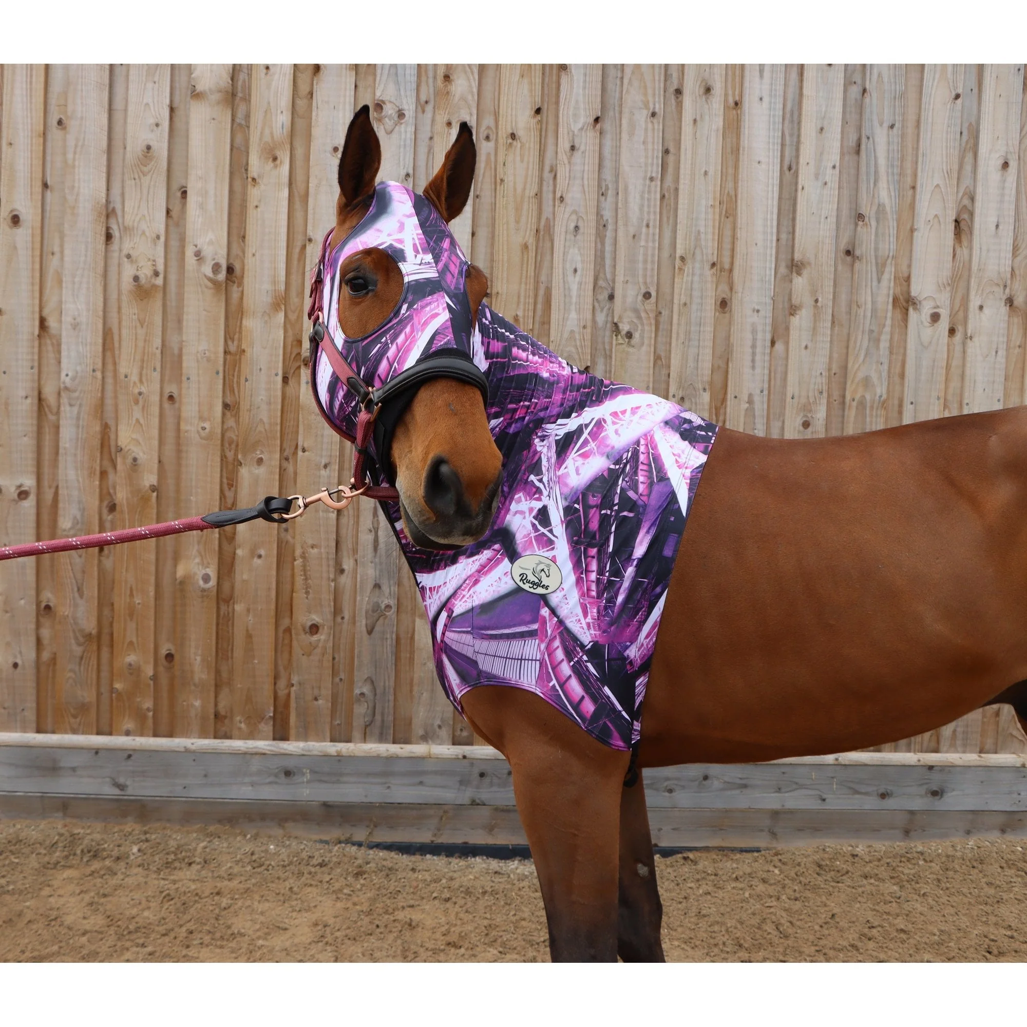 Lycra Hood With Zip - Available With or Without Ears - Image 10