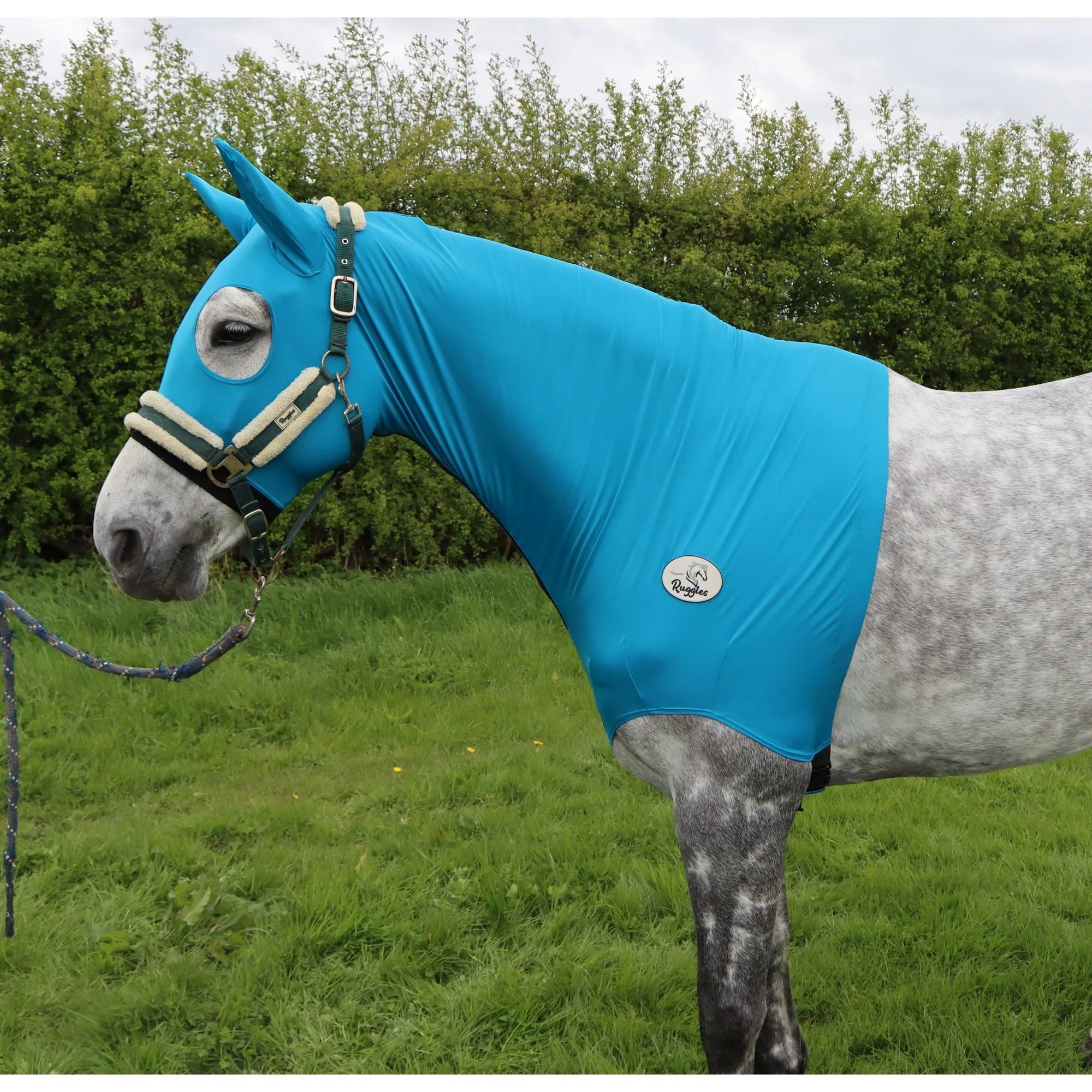 Lycra Hood With Zip - Available With or Without Ears - Image 4