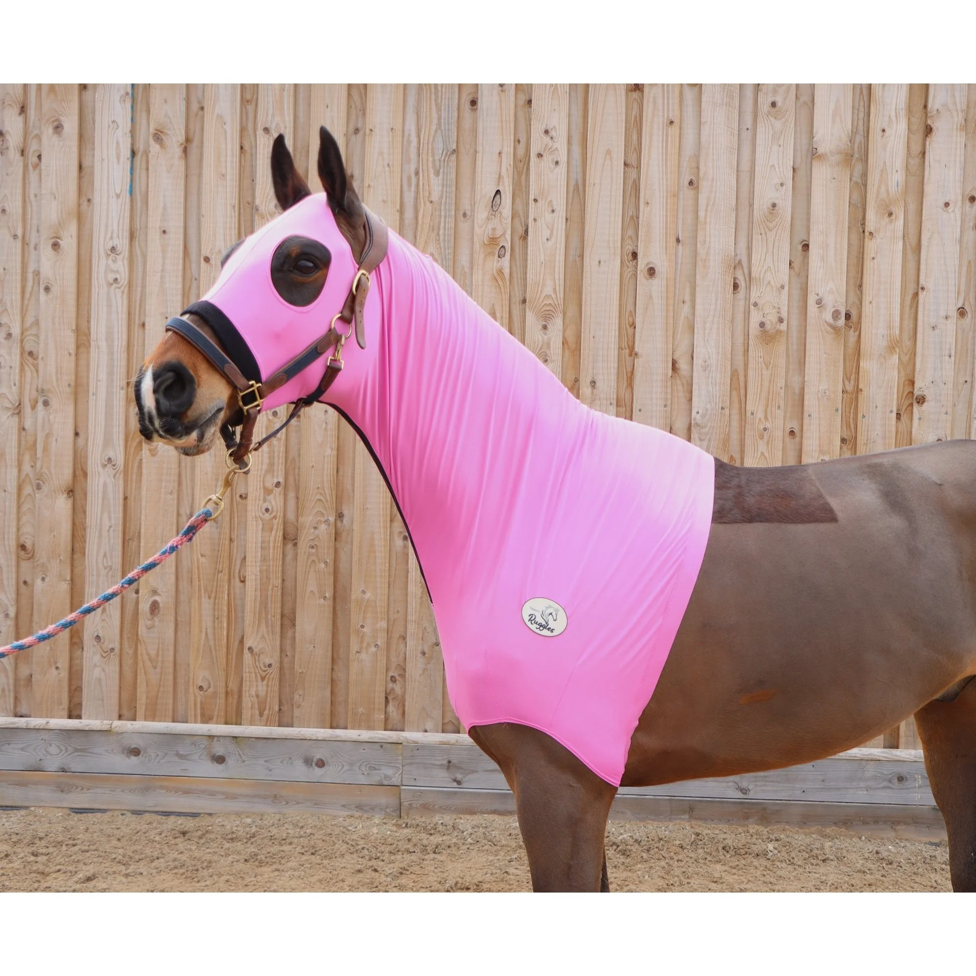 Lycra Hood With Zip - Available With or Without Ears - Image 5